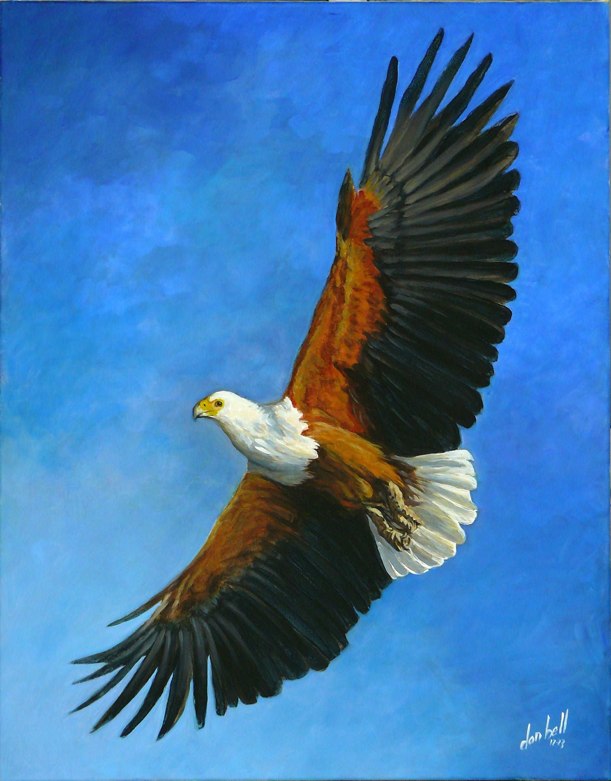 Acrylic 'AFRICAN FISH EAGLE - SOARING WONDER' - Acrylics on canvas Don Bell