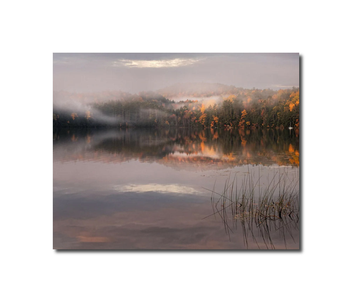 Landscape Photography October Dawn and Mist, Post Pond, New Hampshire John Lehet