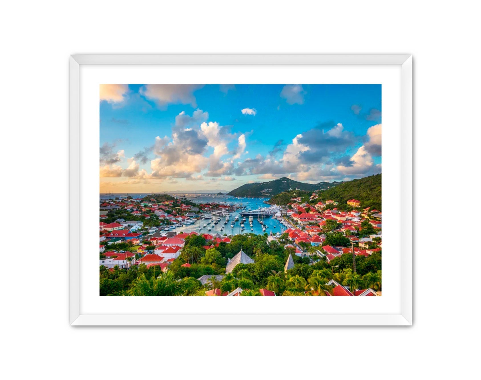 Apricus Prints 'GUSTAVIA' Apricus Art Collection