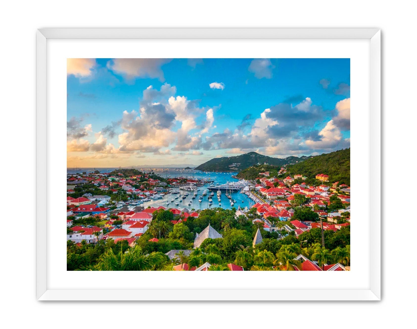 Apricus Prints 'GUSTAVIA' Apricus Art Collection