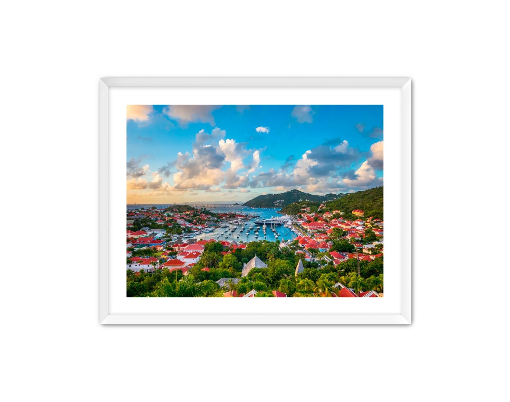 Apricus Prints 'GUSTAVIA' Apricus Art Collection