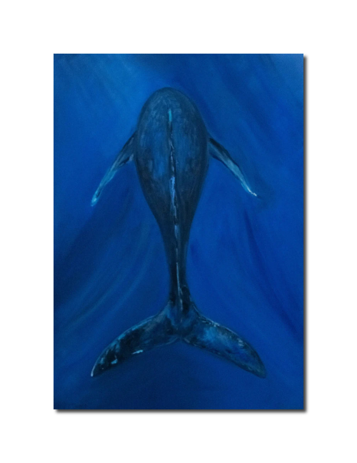 Figurative Whale Alina Odwyer