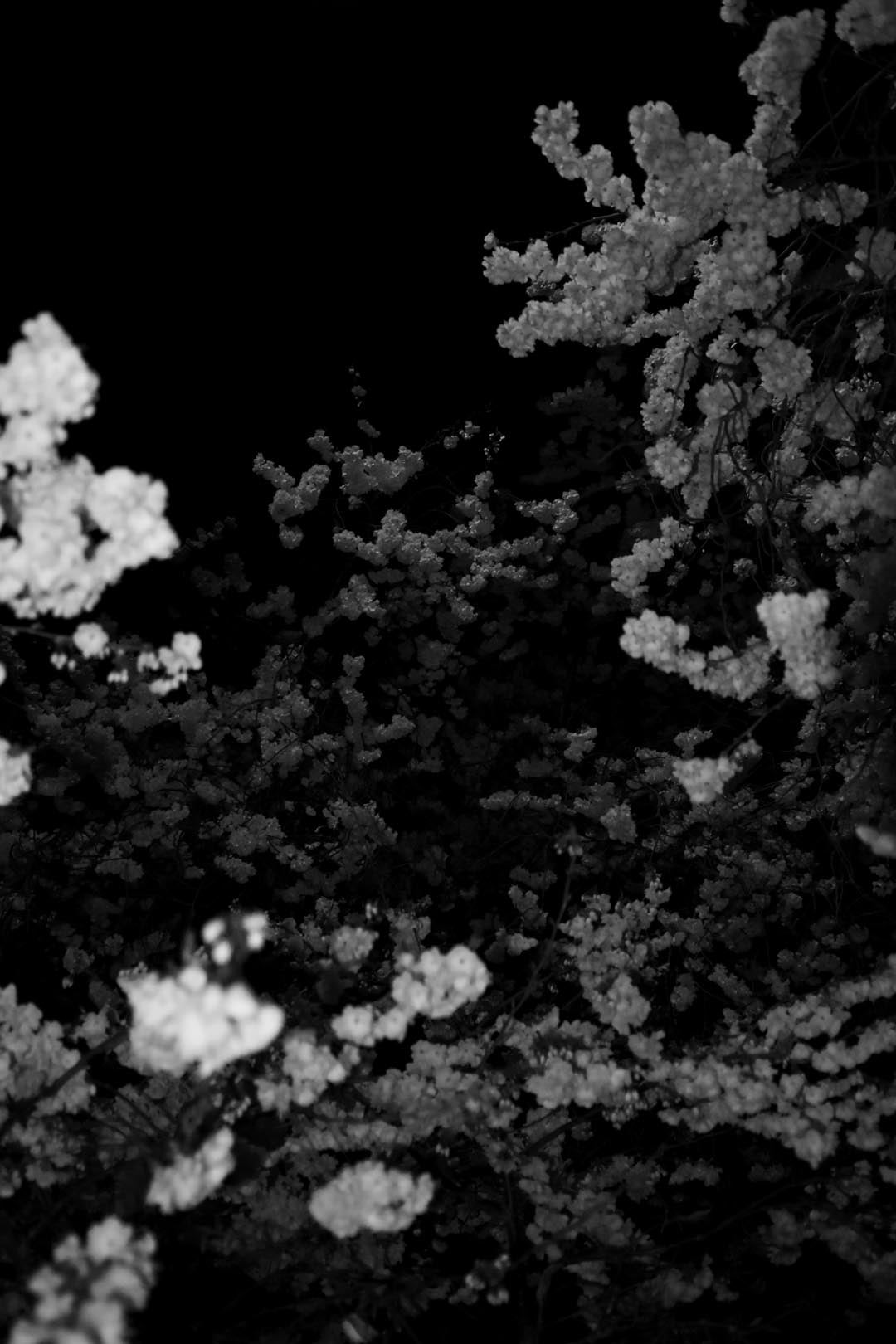 'GRADIENT LOSS - 22ND OF MARCH 2025 (23:36)'