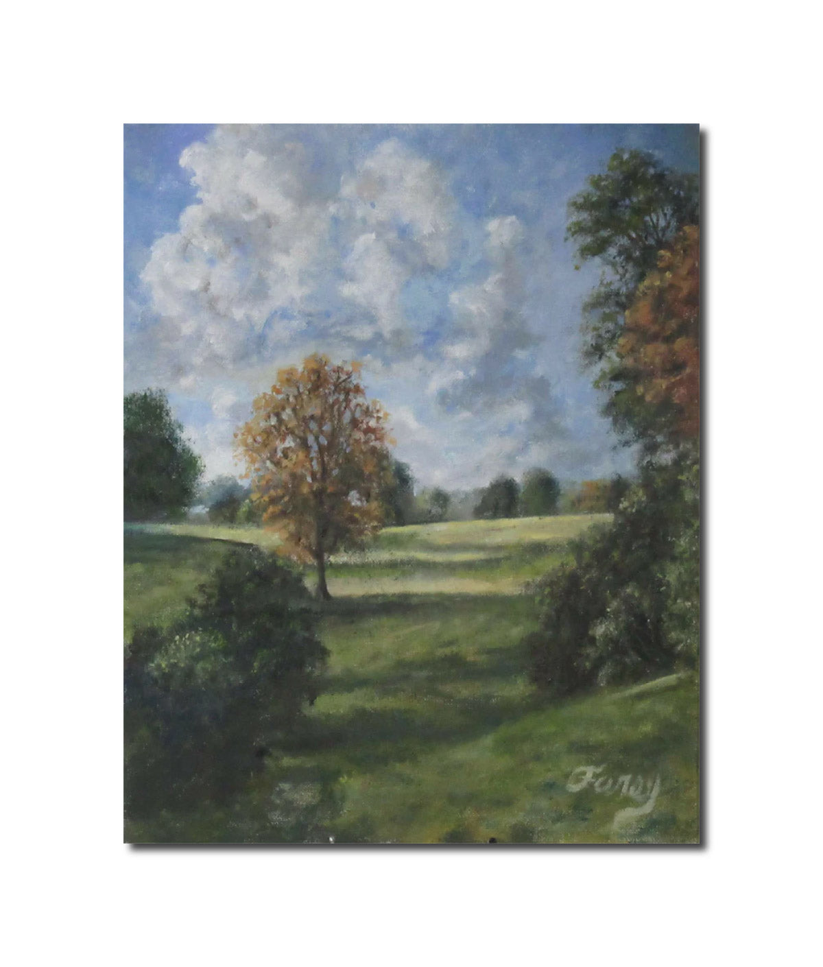 Art Landscape Oil Painting Bucks County Shadows Tom Furey