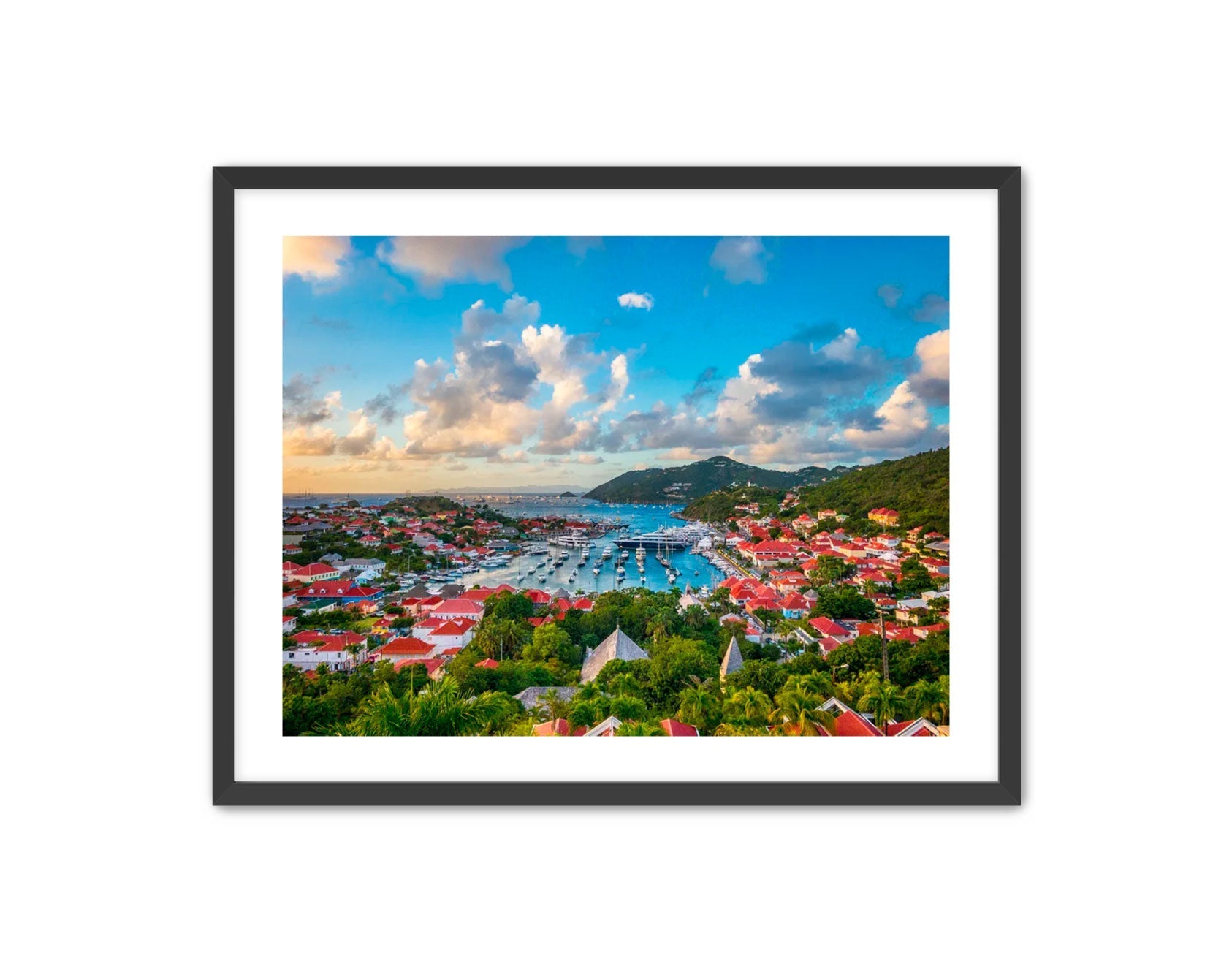 Apricus Prints 'GUSTAVIA' Apricus Art Collection