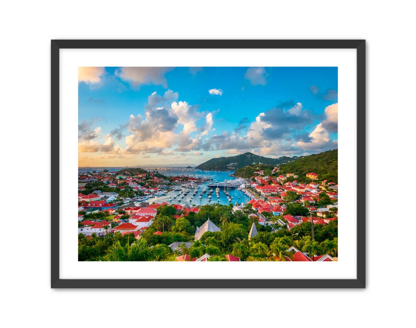 Apricus Prints 'GUSTAVIA' Apricus Art Collection