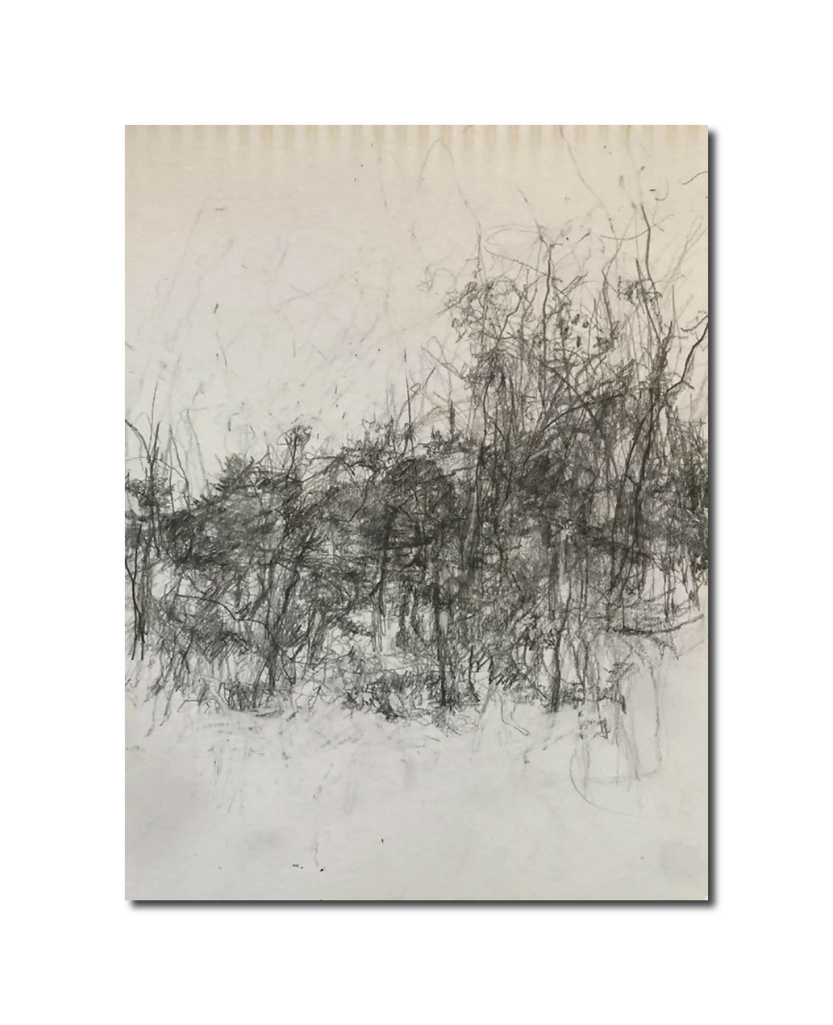 drawing Landscape 11.8 Carol Heft