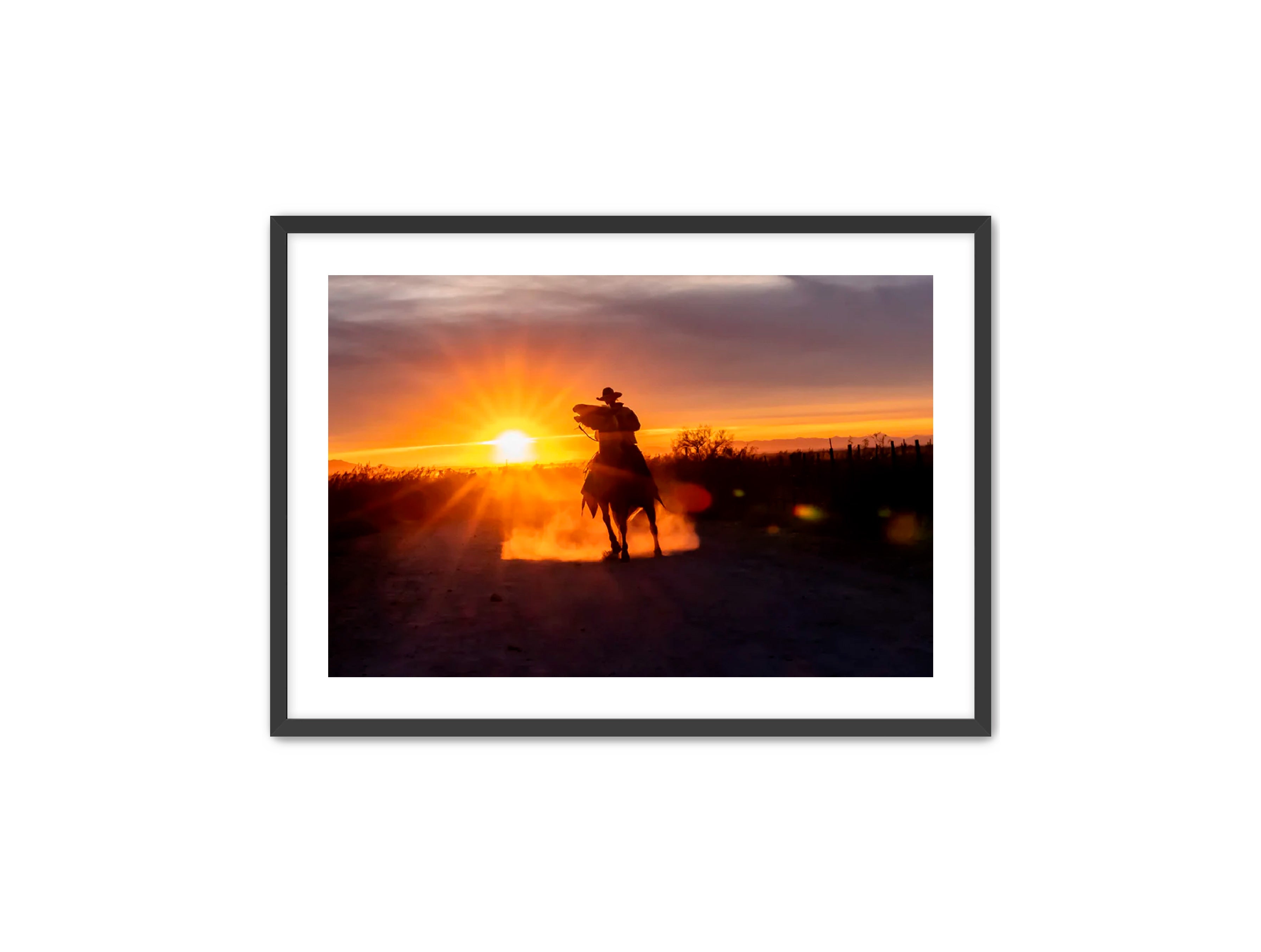 Horizontal photography 'GOLD RIDER' Apricus Art Collection