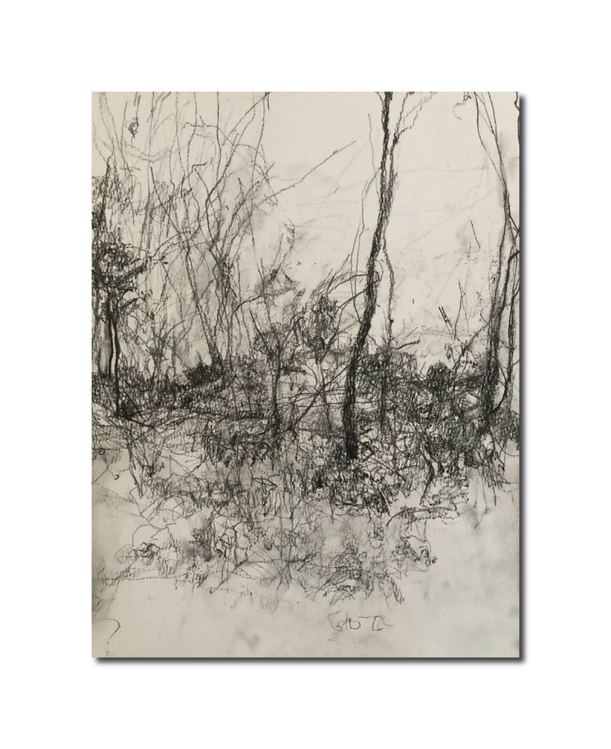 Drawing Landscape landscape 11.15 Carol Heft