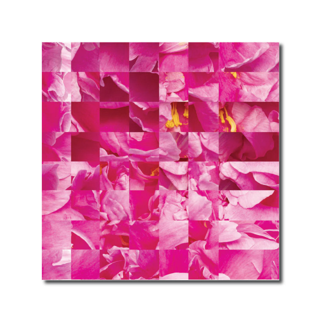 Abstract Contemporary Geometric Photography Pop Art Botanical Rubik Andrew Harrison