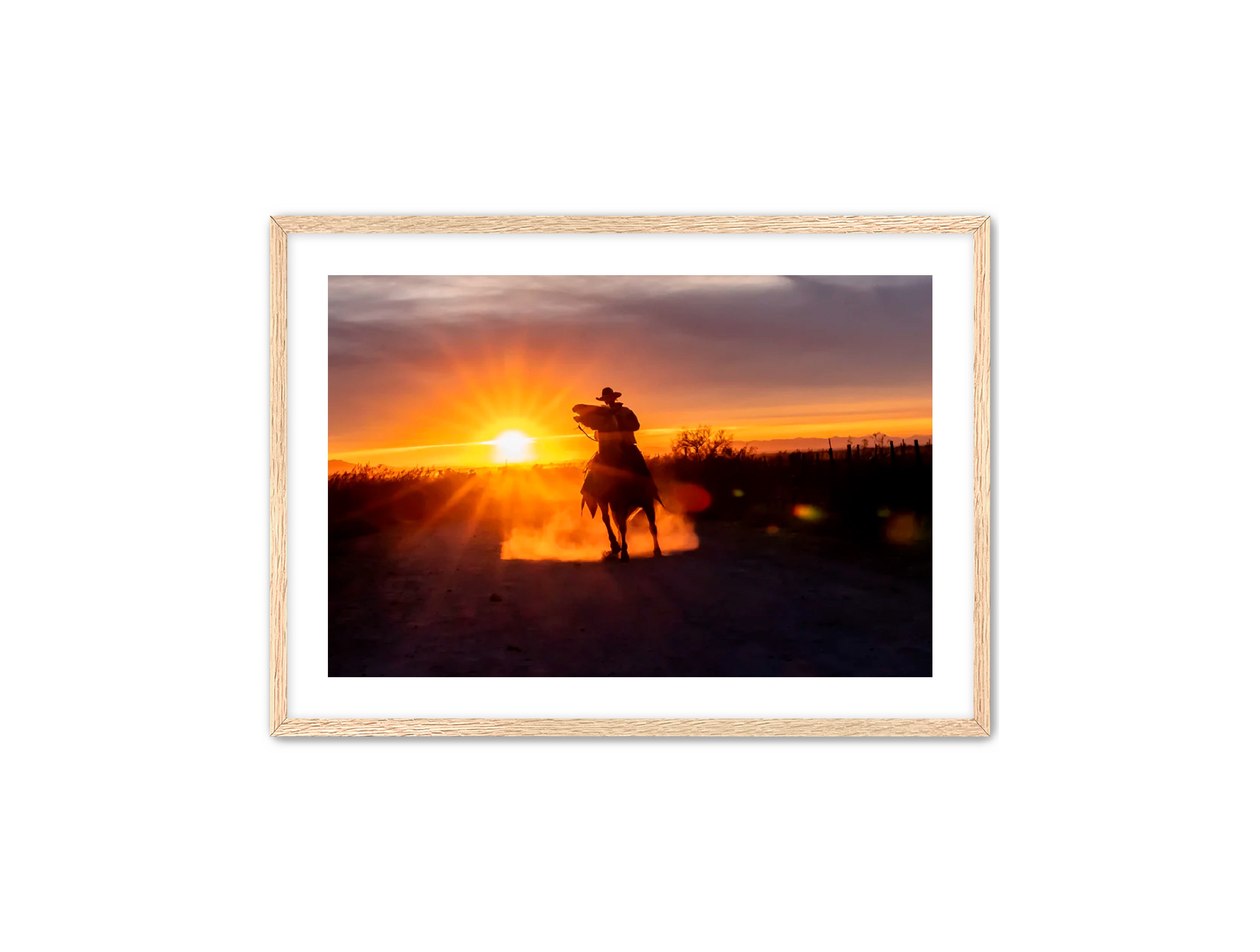 Horizontal photography 'GOLD RIDER' Apricus Art Collection