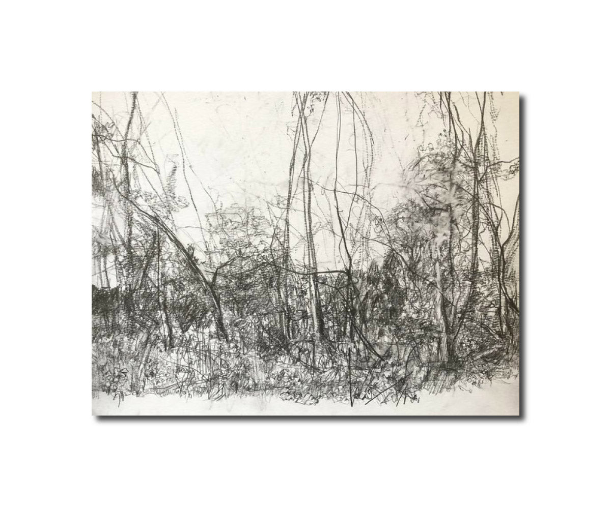 Drawing Landscape landscape 11.18 Carol Heft