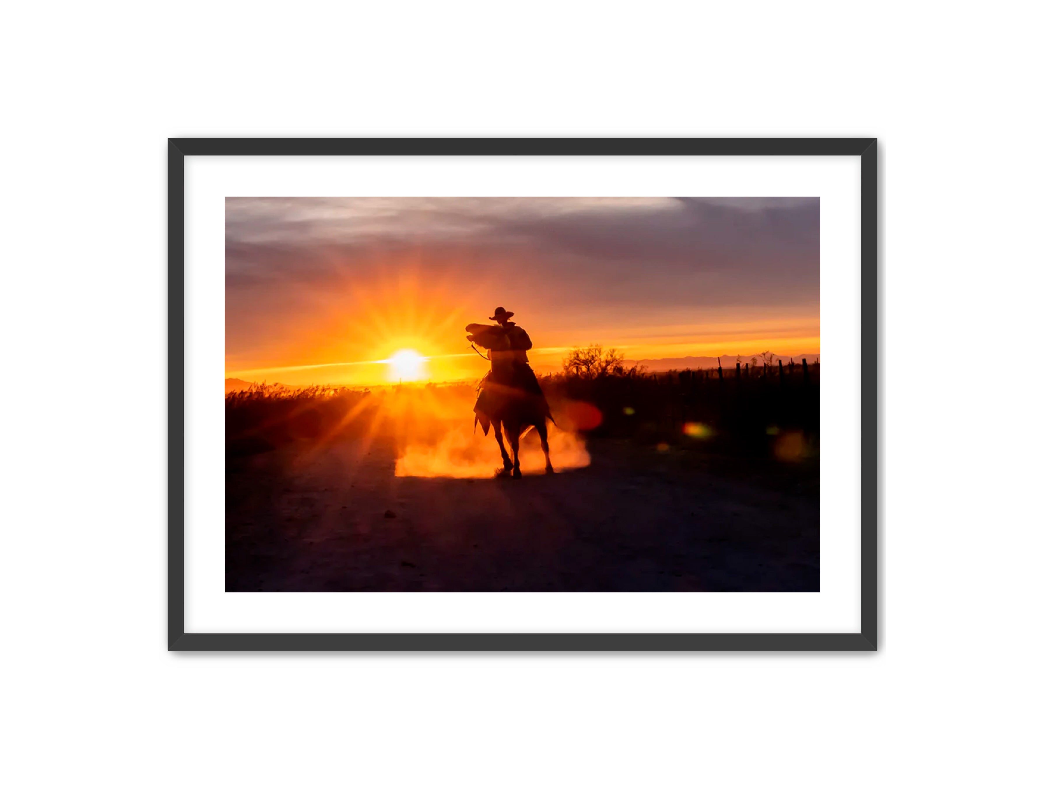 Horizontal photography 'GOLD RIDER' Apricus Art Collection