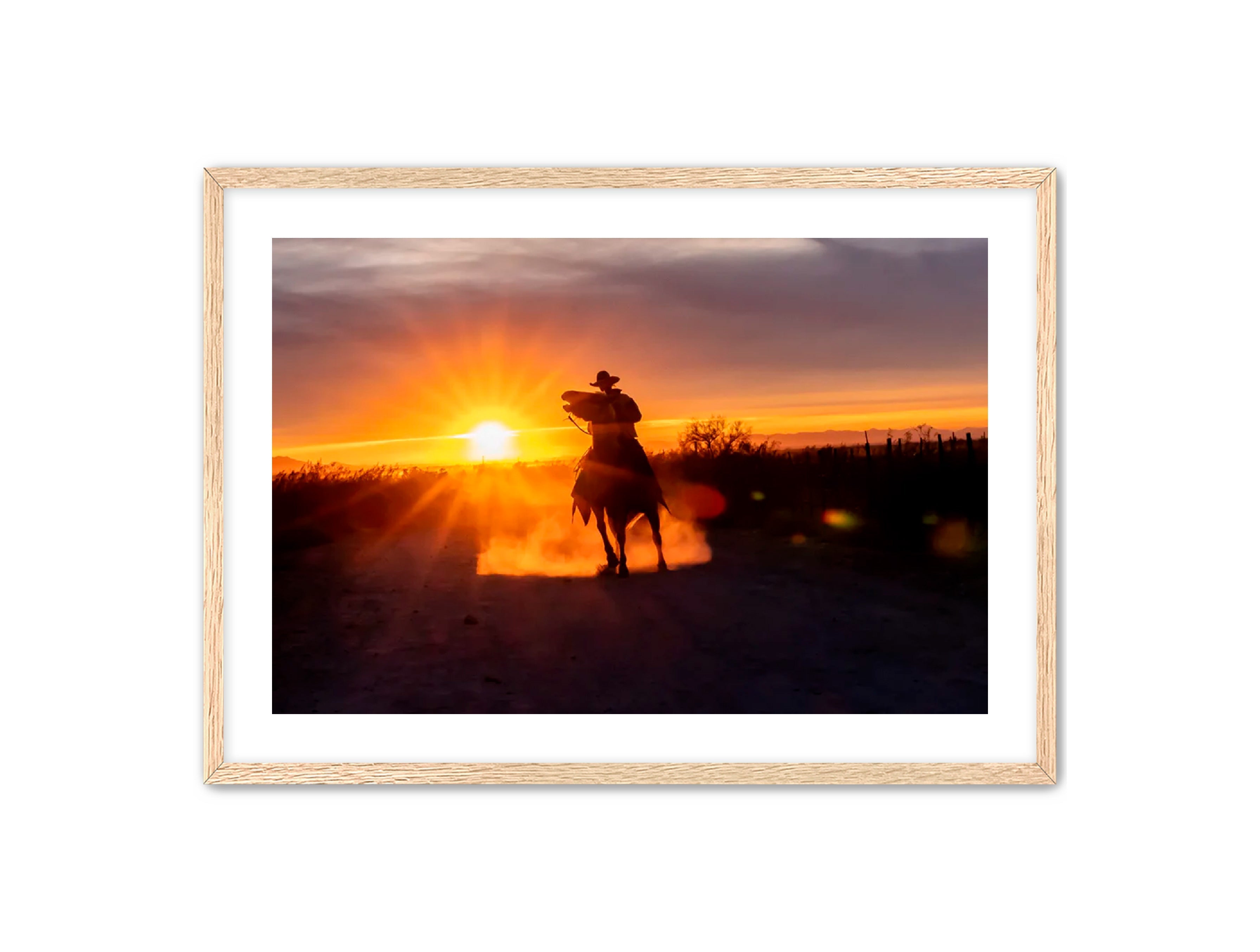 Horizontal photography 'GOLD RIDER' Apricus Art Collection