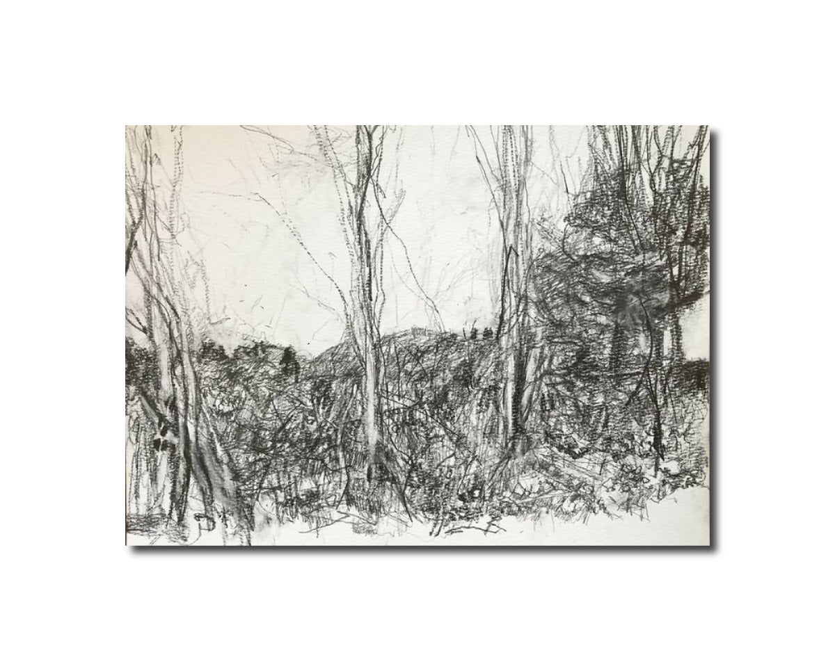 Drawing Landscape Landscape 11.25 Carol Heft