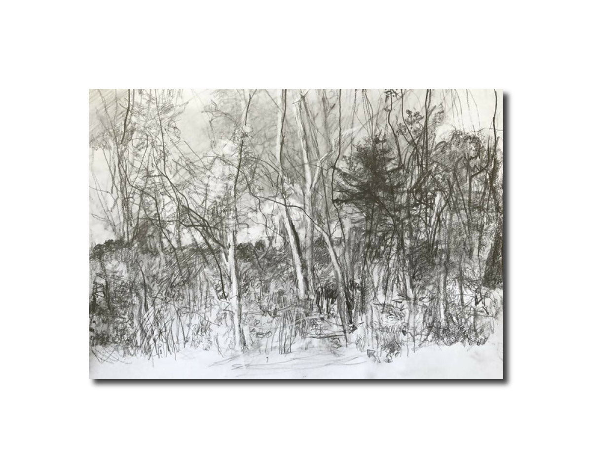 Drawing Landscape 11.11 Carol Heft