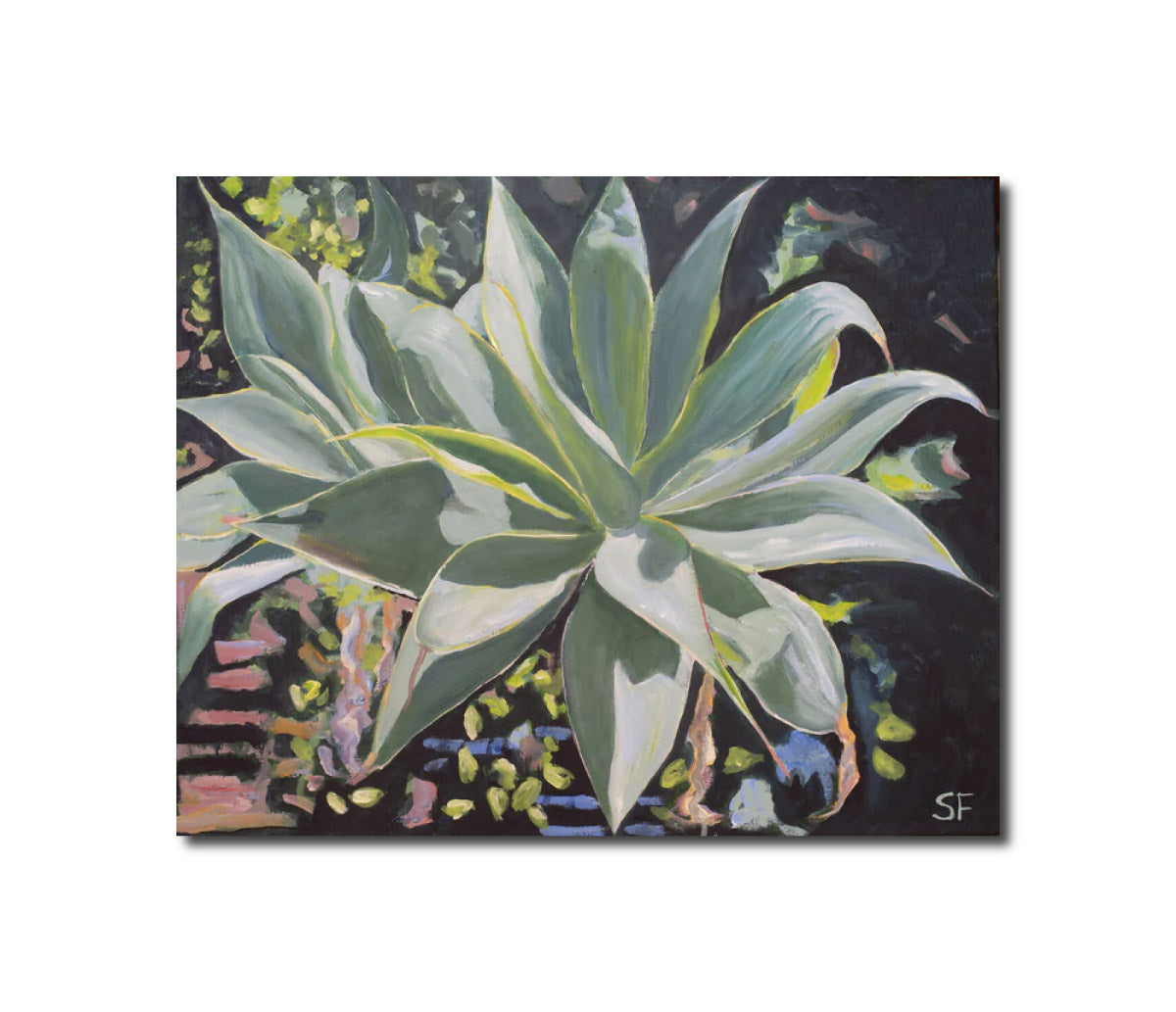 Oil Painting Agave Stuart Franklin