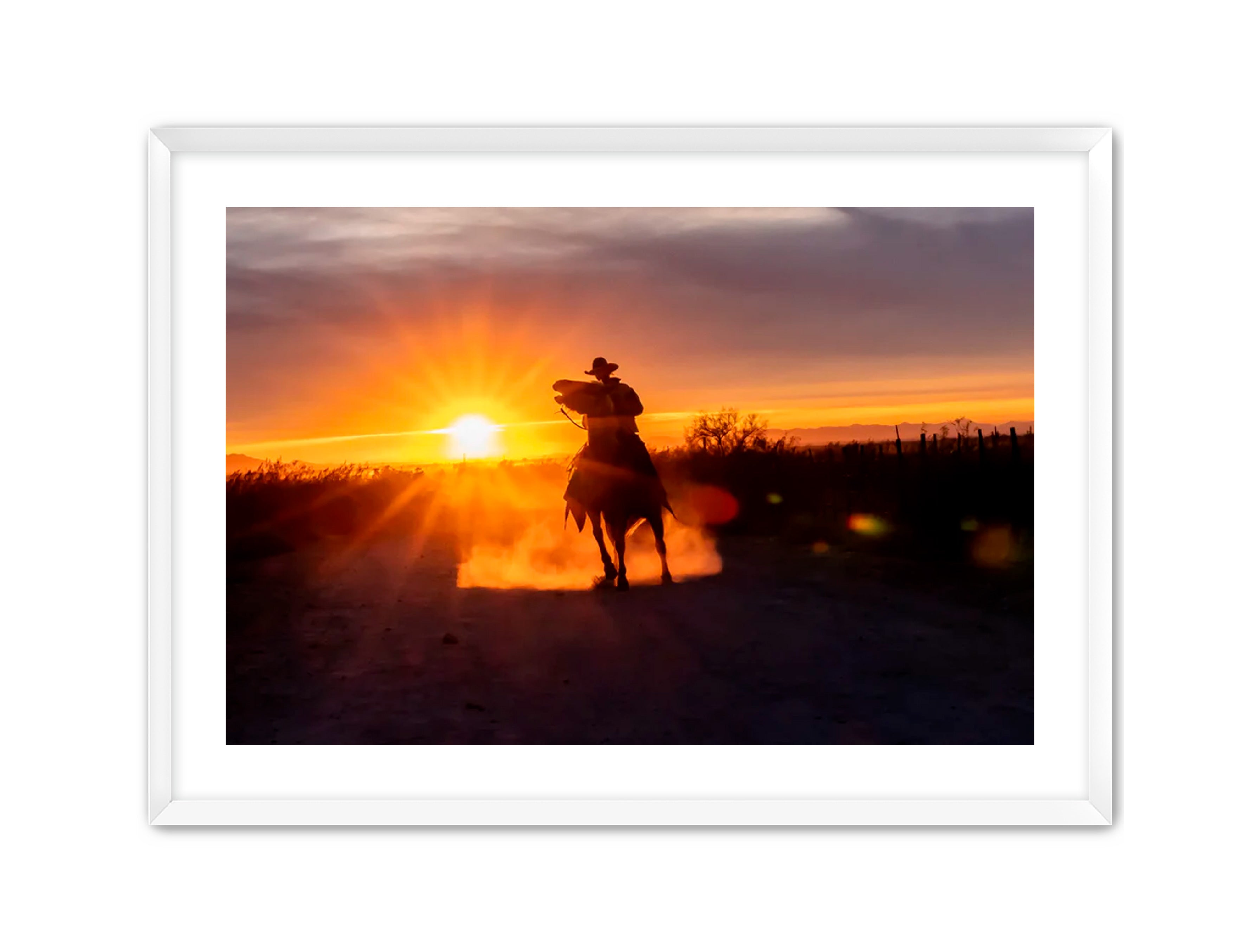 Horizontal photography 'GOLD RIDER' Apricus Art Collection