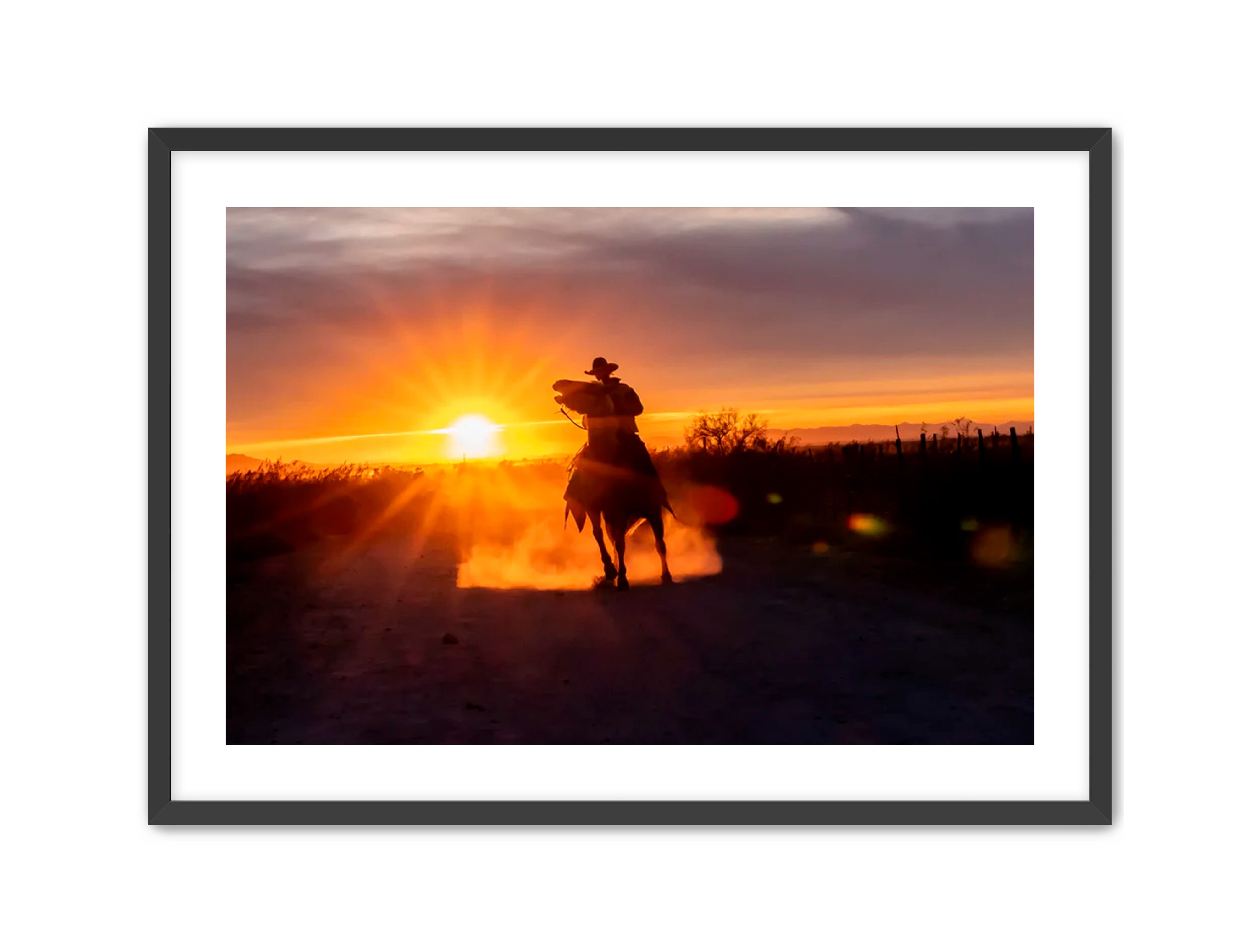 Horizontal photography 'GOLD RIDER' Apricus Art Collection