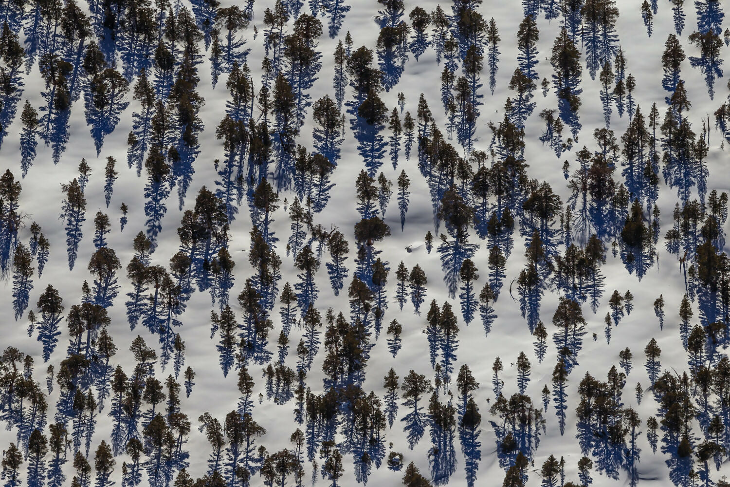 Landscape Photography Winter Aerial of the Ansel Adams Wilderness, California Peter Essick