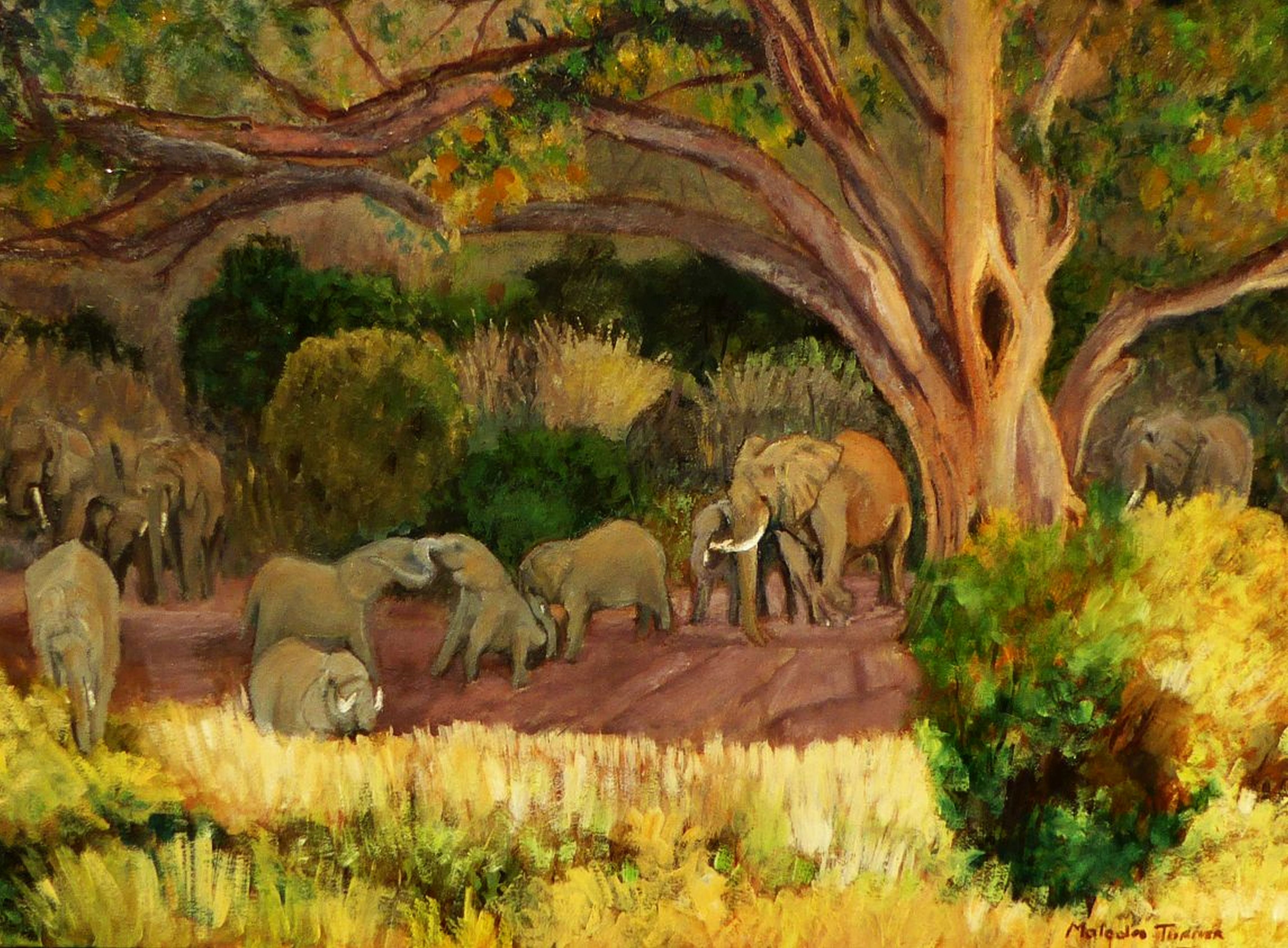 'AFRICAN GIANTS' - Oil Painting on Stretched Canvas