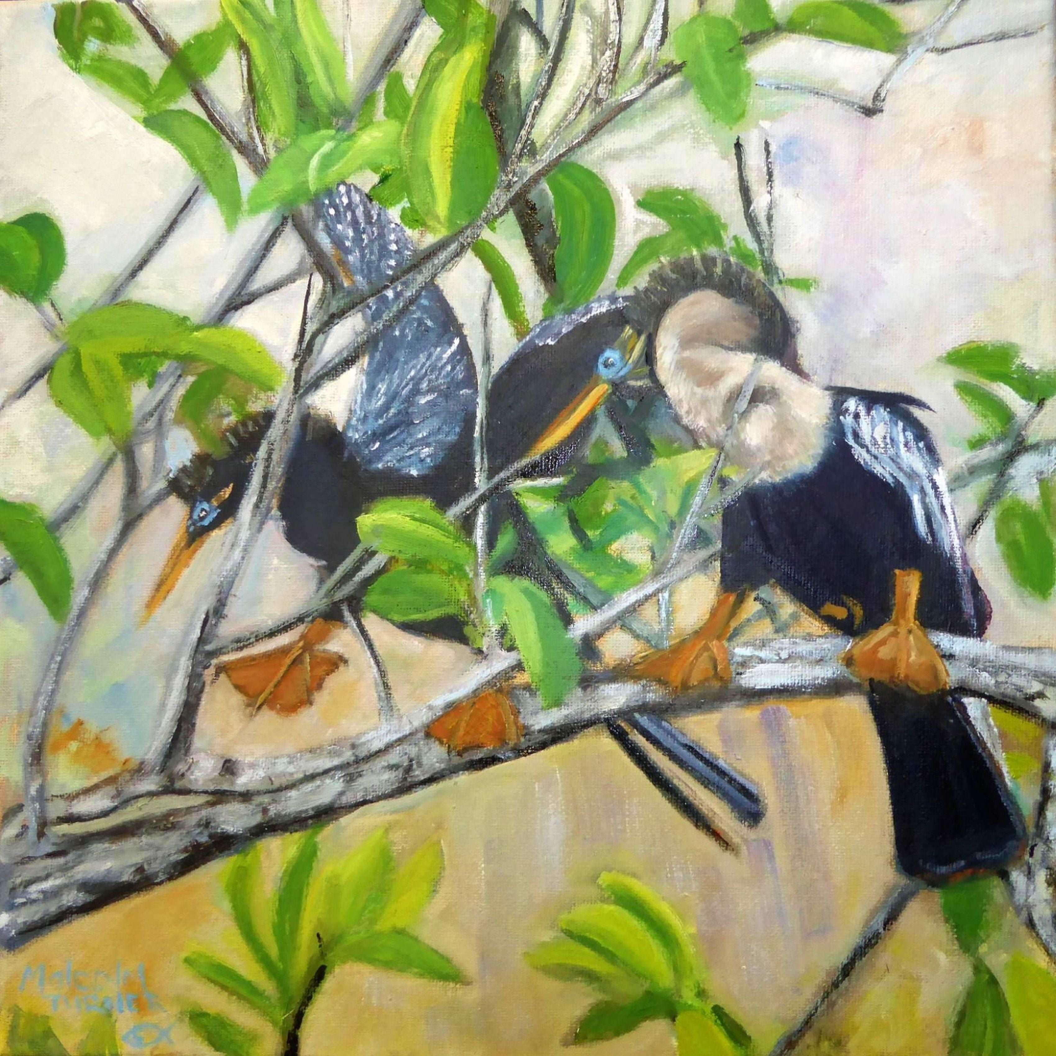 Figurative 'ANHINGA BIRDS' - Oil Painting on Stretched Canvas Malcolm Turner