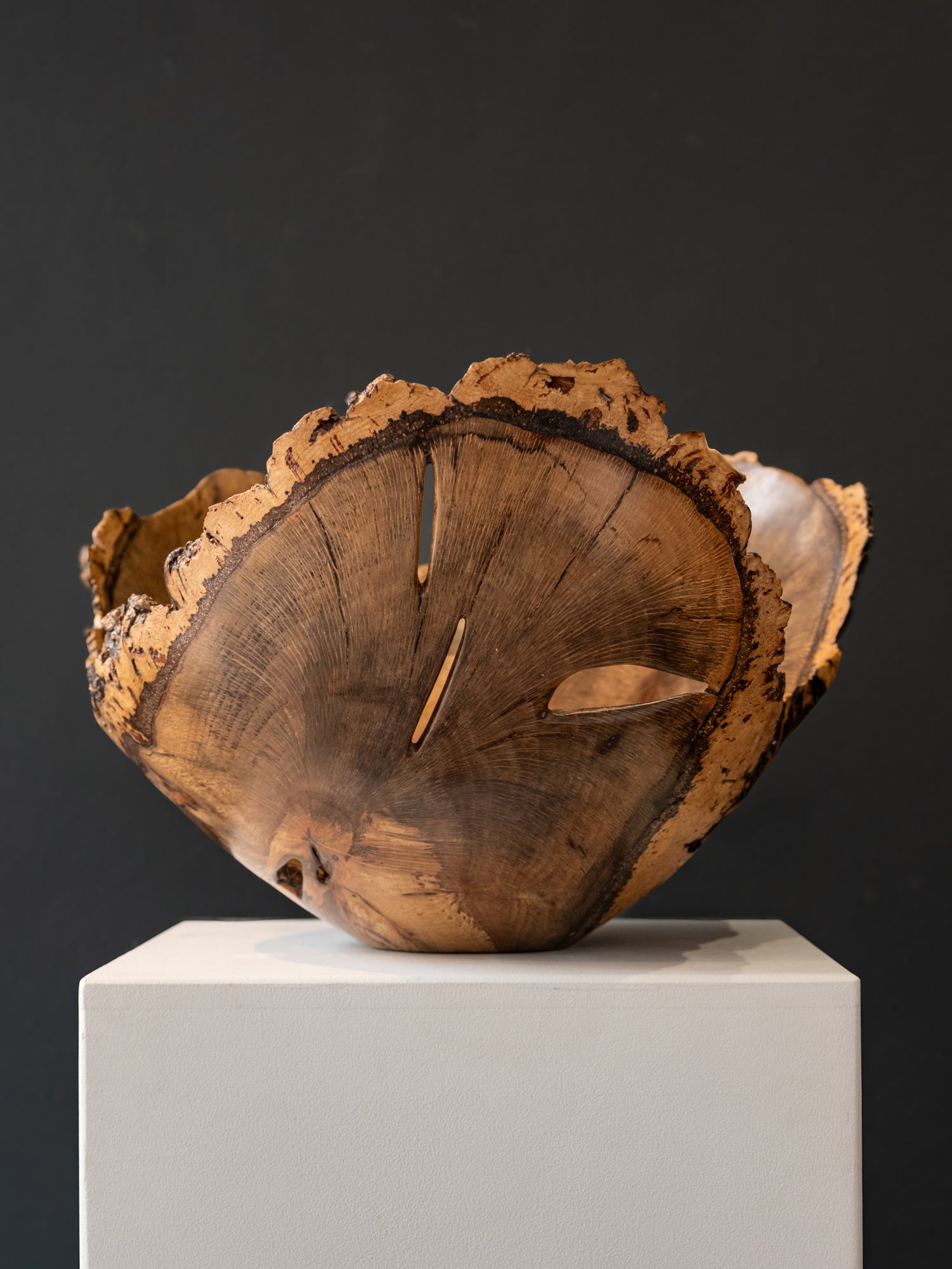 Natural Edge Sculpture wood 'CORK OAK' Rodney Band