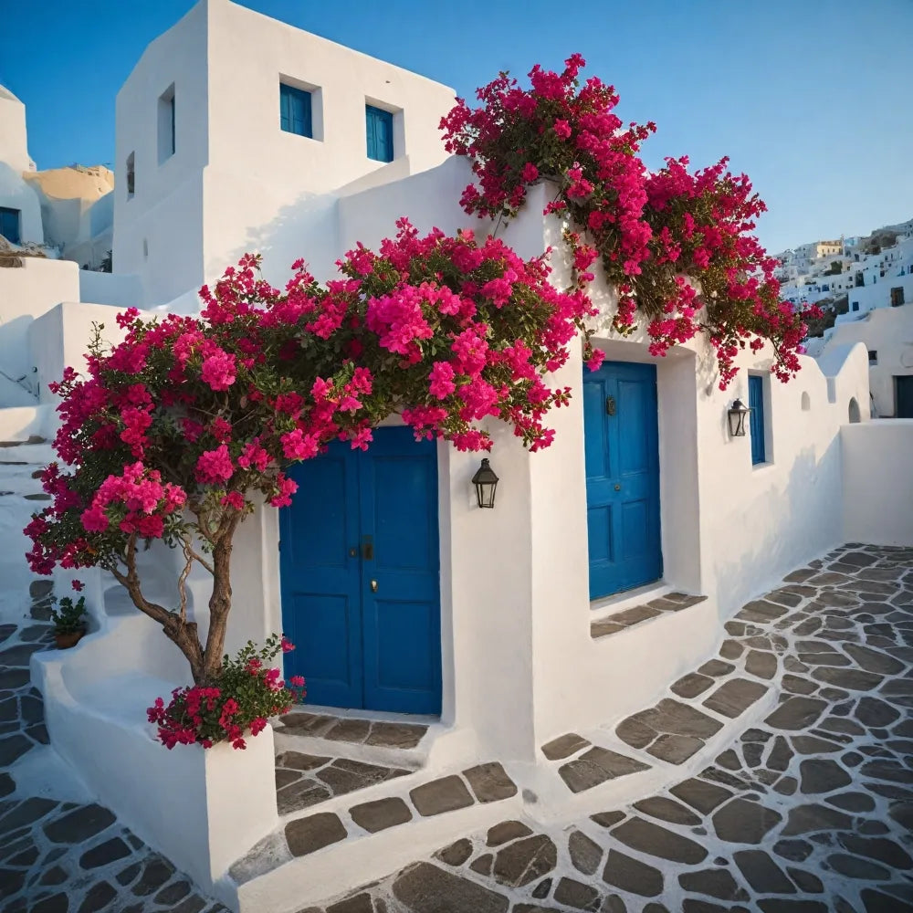 photography Square 'BOUGAINVILLEA BLISS' Apricus Art Collection