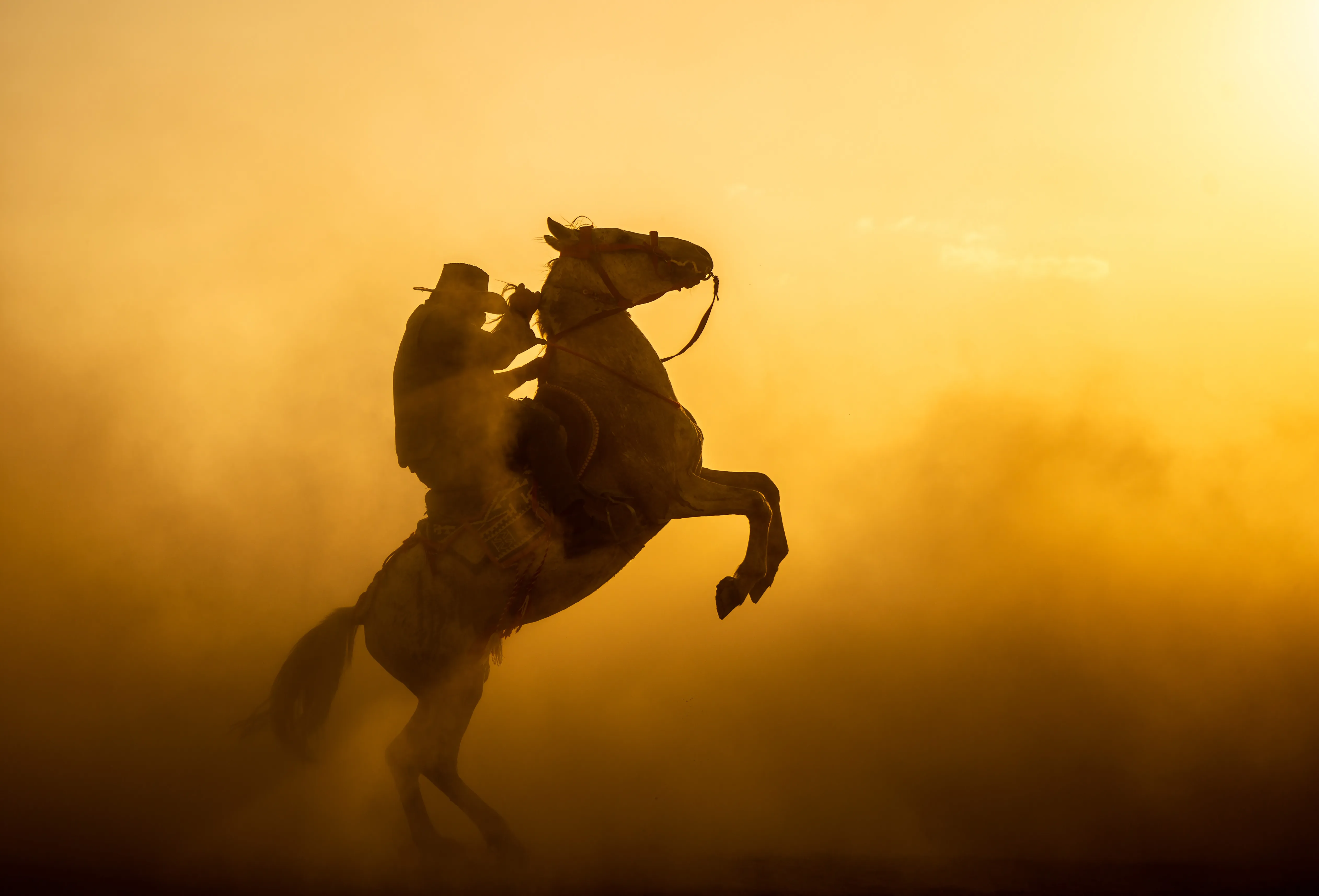 Horizontal photography 'BRONZE BRAVERY' Apricus Art Collection