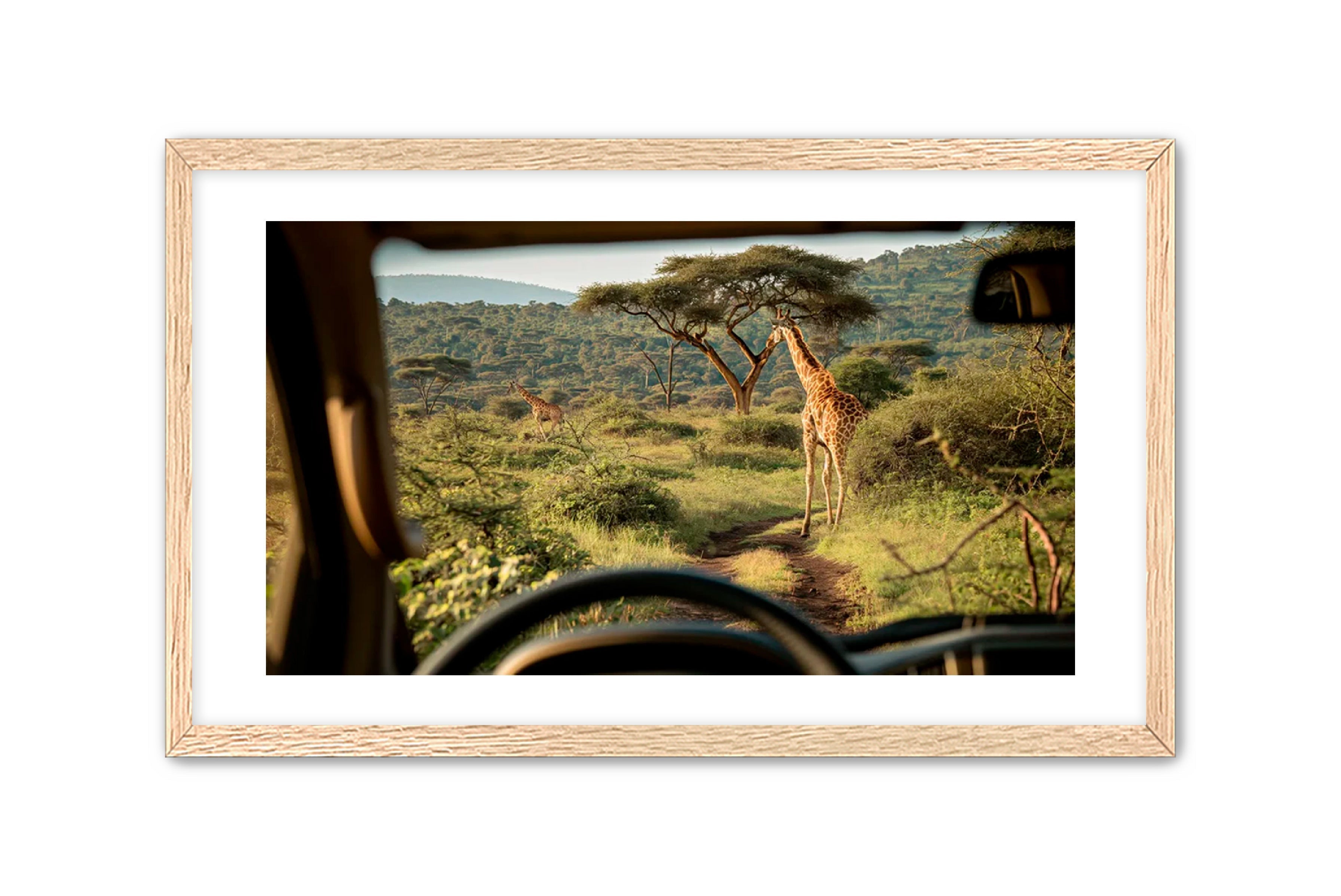 Horizontal photography 'CANOPY GLIMPSE' Apricus Art Collection