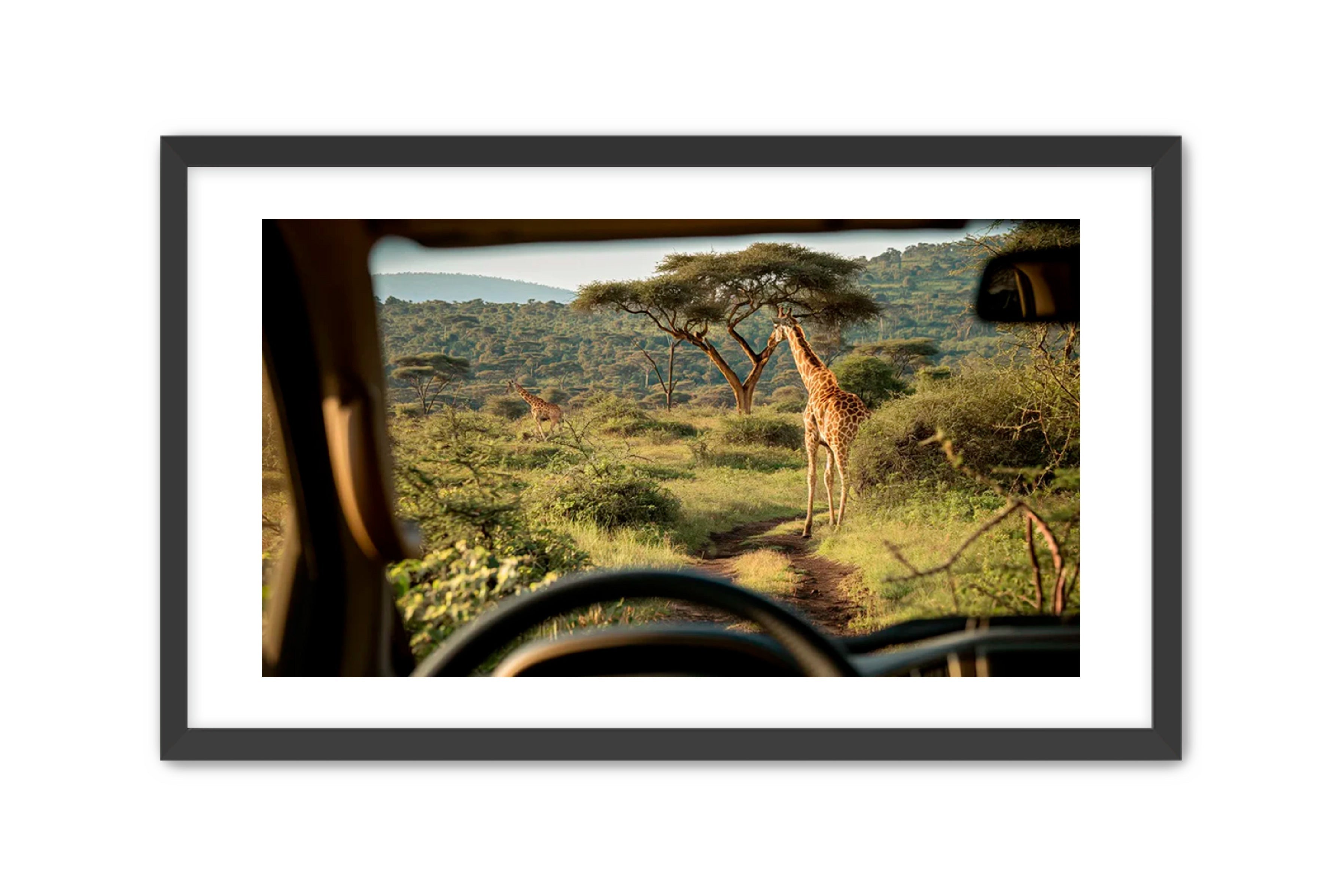 Horizontal photography 'CANOPY GLIMPSE' Apricus Art Collection