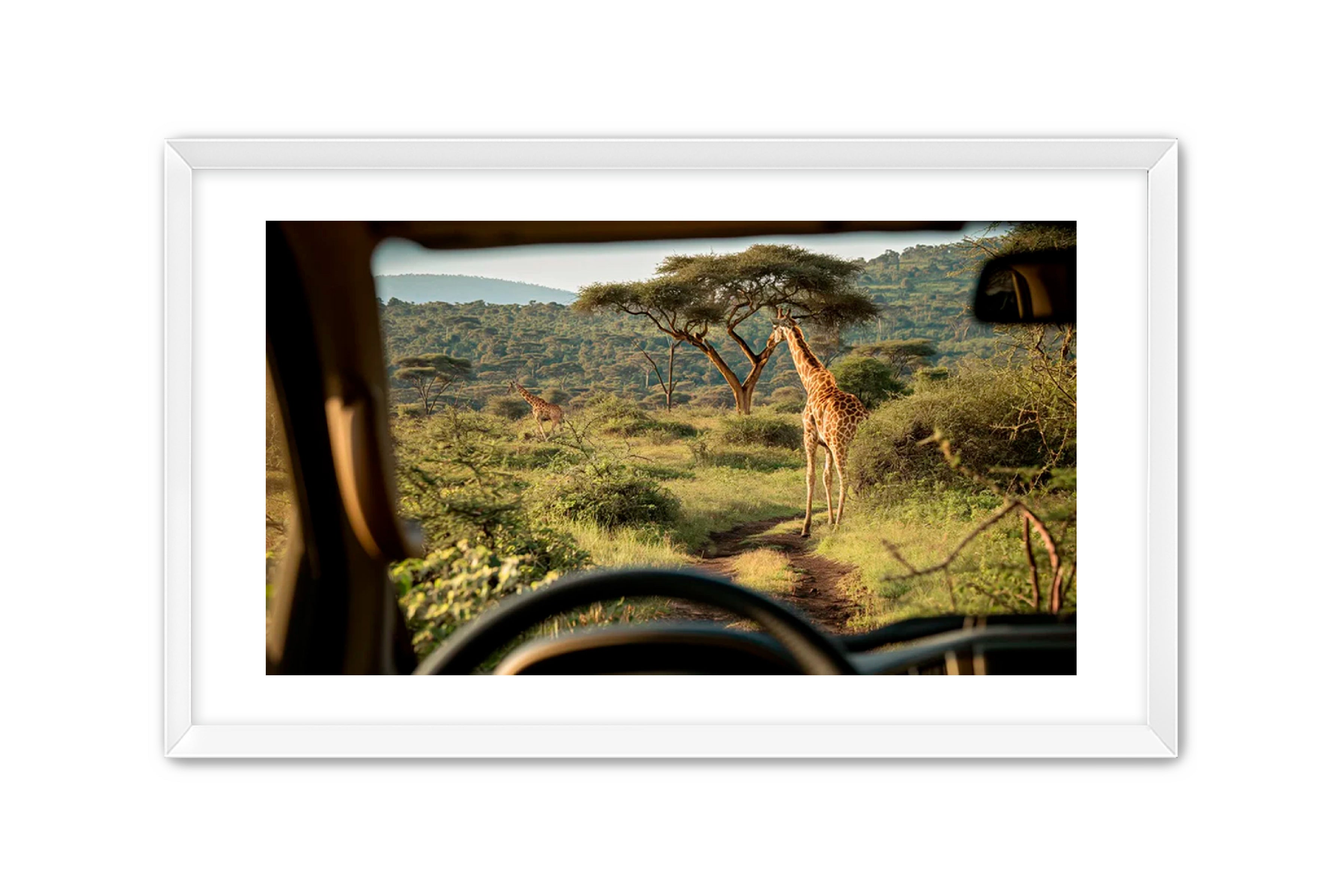 Horizontal photography 'CANOPY GLIMPSE' Apricus Art Collection