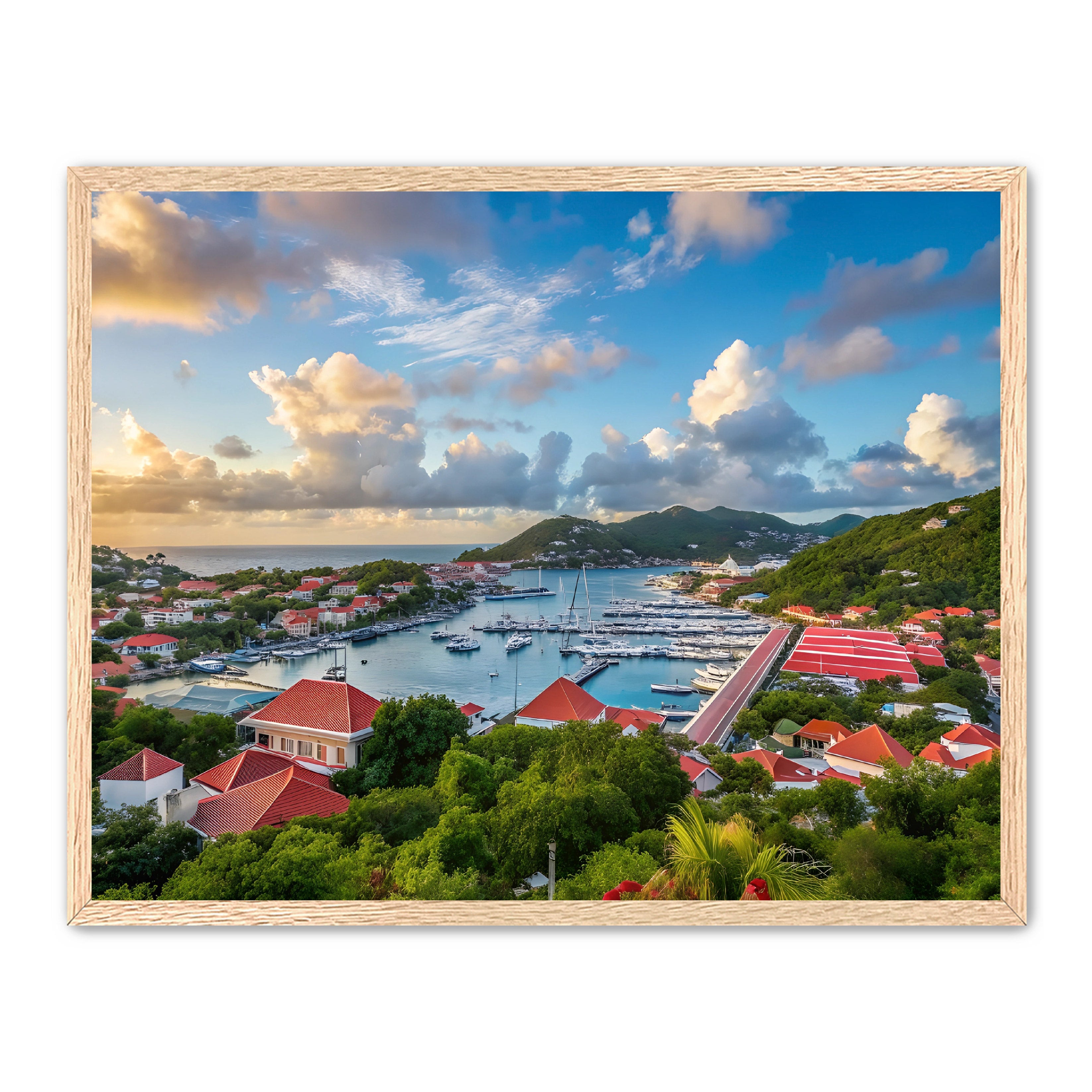 Apricus Prints 'GUSTAVIA' Apricus Art Collection