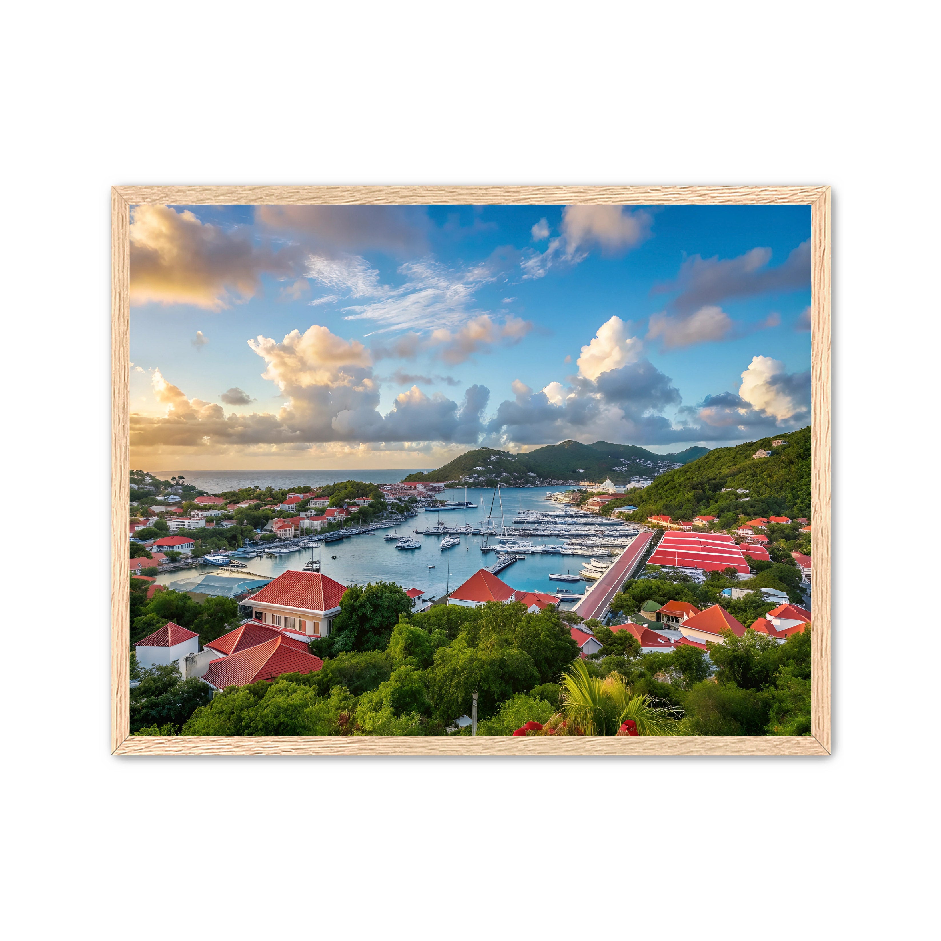 Apricus Prints 'GUSTAVIA' Apricus Art Collection