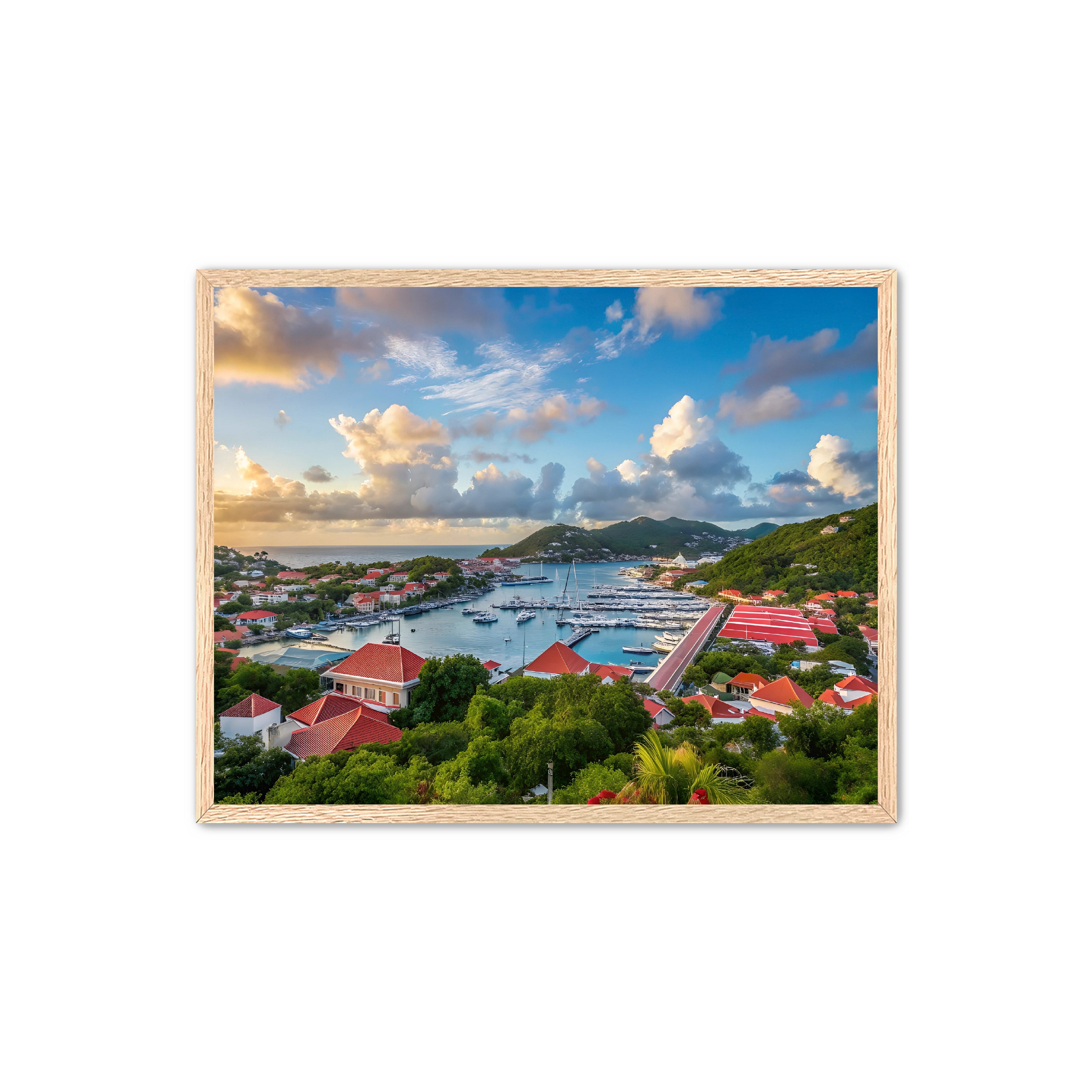 Apricus Prints 'GUSTAVIA' Apricus Art Collection