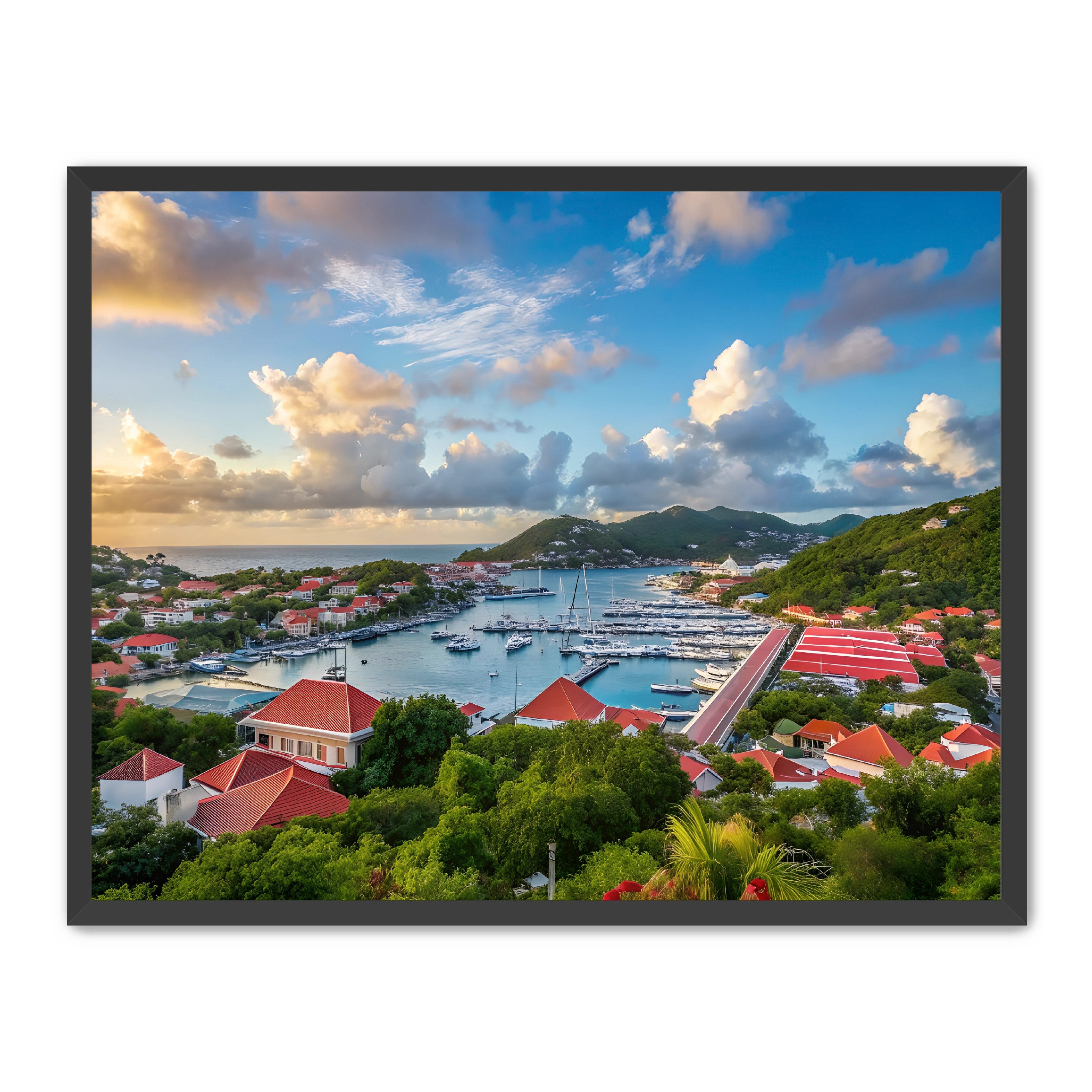 Apricus Prints 'GUSTAVIA' Apricus Art Collection