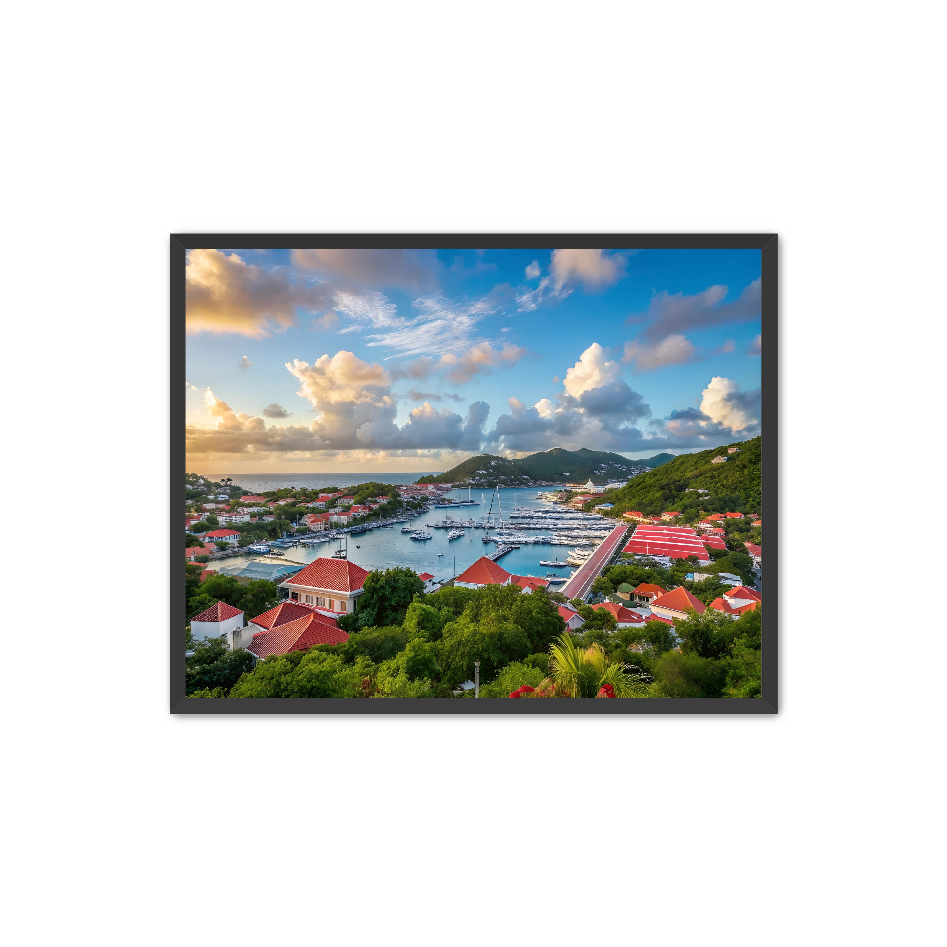 Apricus Prints 'GUSTAVIA' Apricus Art Collection