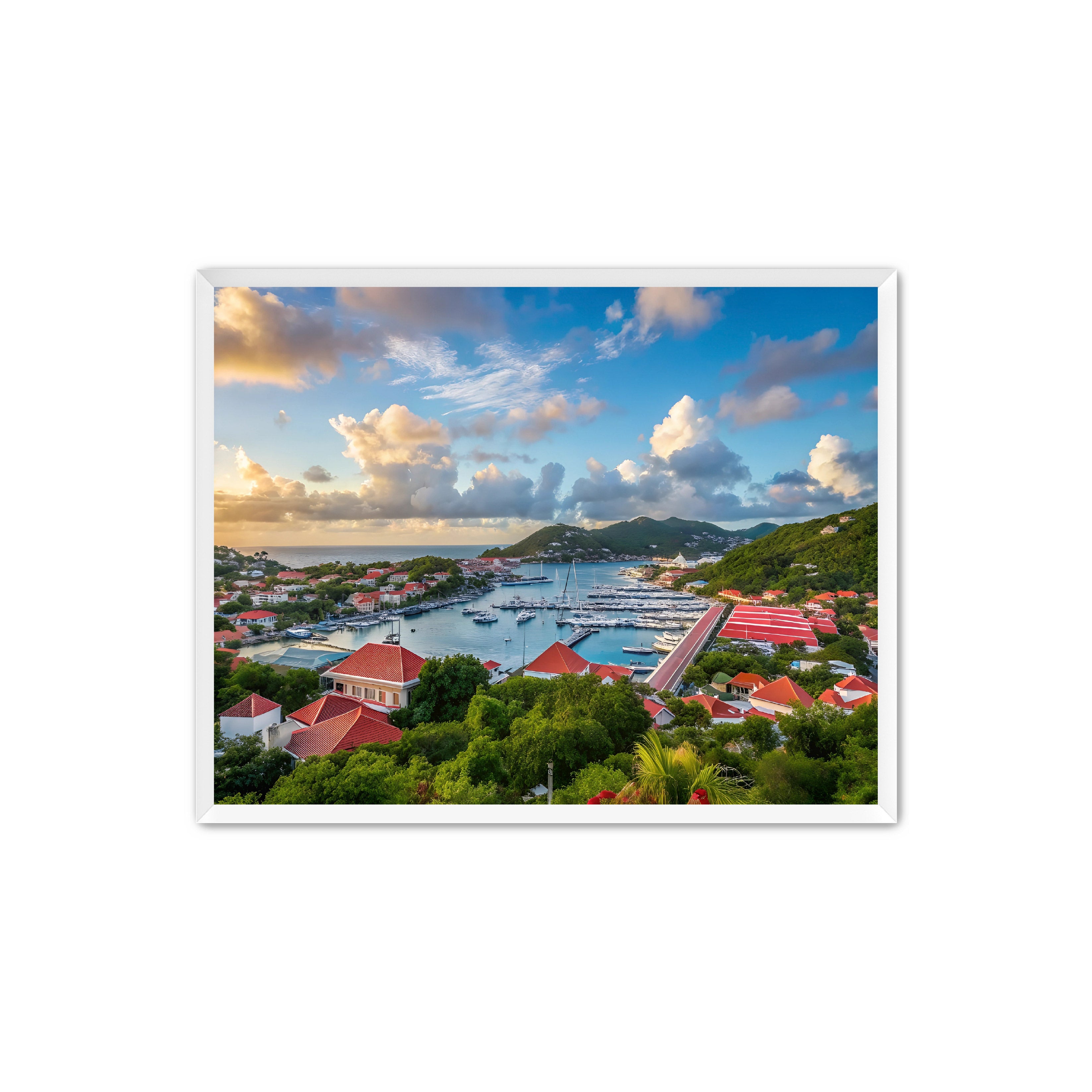 Apricus Prints 'GUSTAVIA' Apricus Art Collection