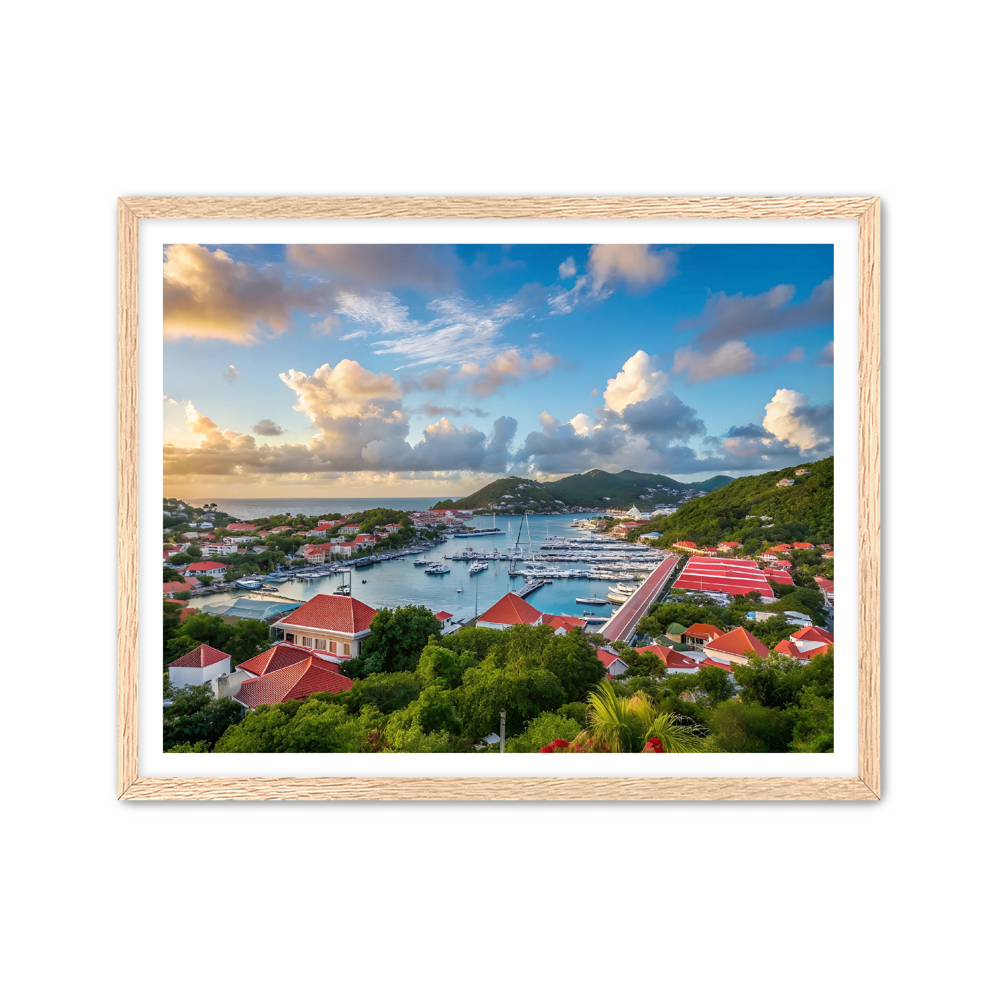 Apricus Prints 'GUSTAVIA' Apricus Art Collection