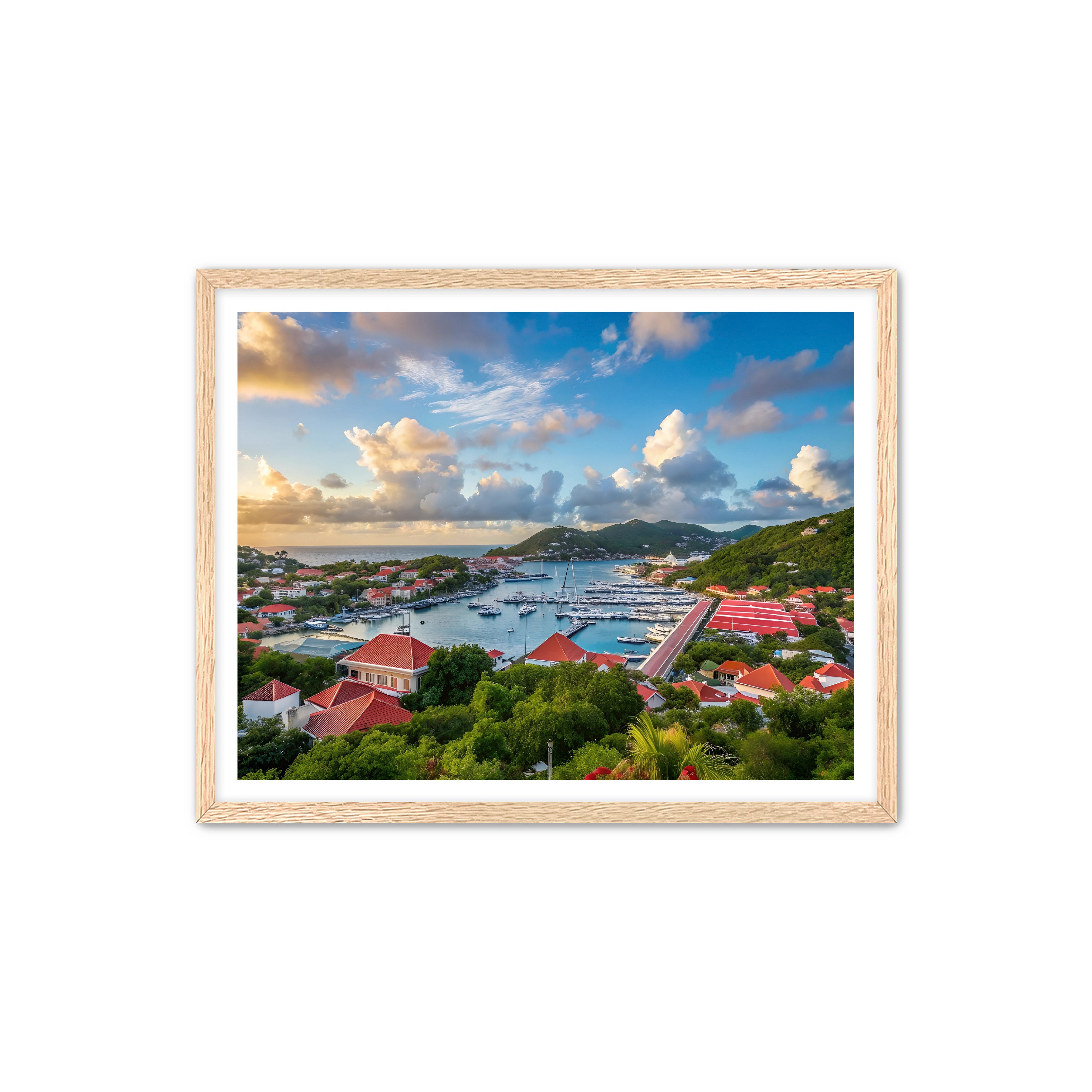 Apricus Prints 'GUSTAVIA' Apricus Art Collection