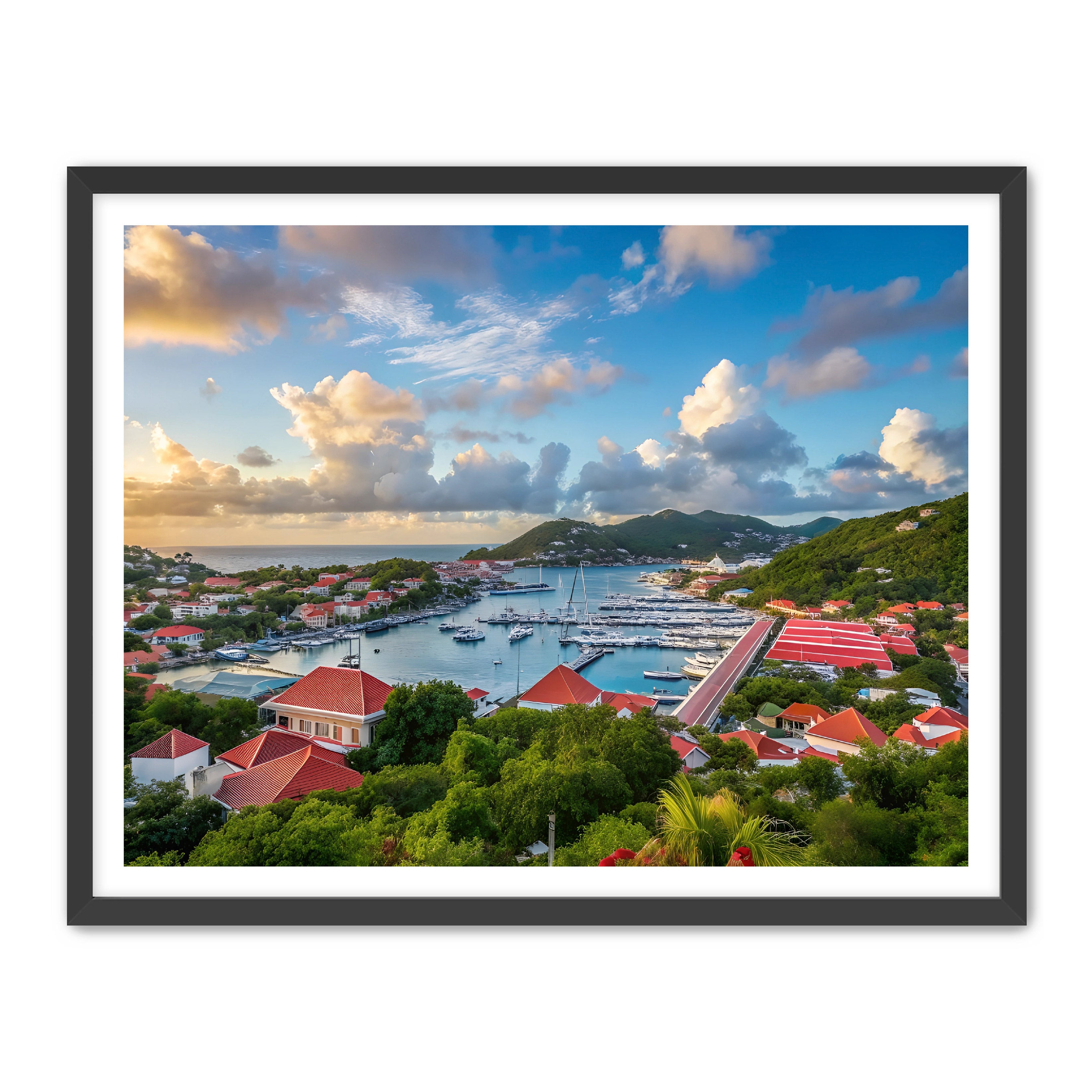 Apricus Prints 'GUSTAVIA' Apricus Art Collection