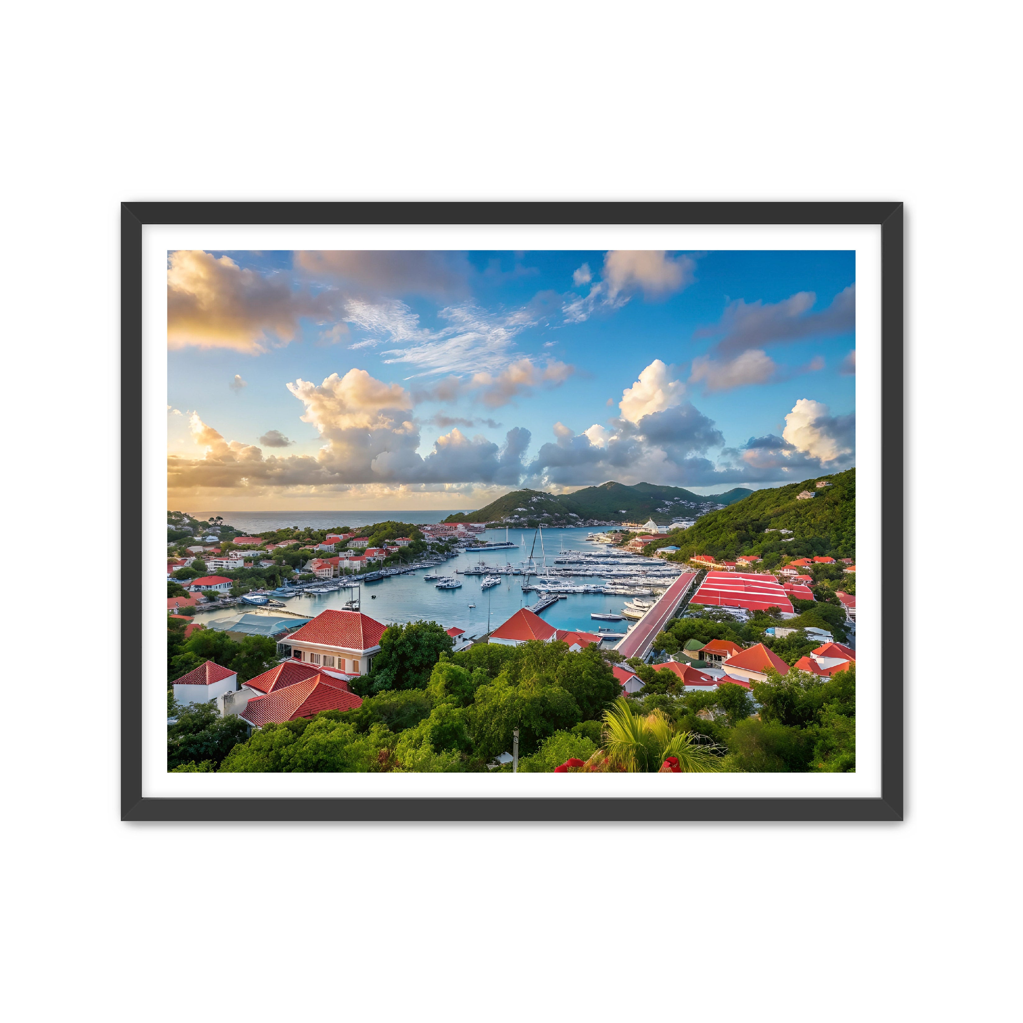 Apricus Prints 'GUSTAVIA' Apricus Art Collection