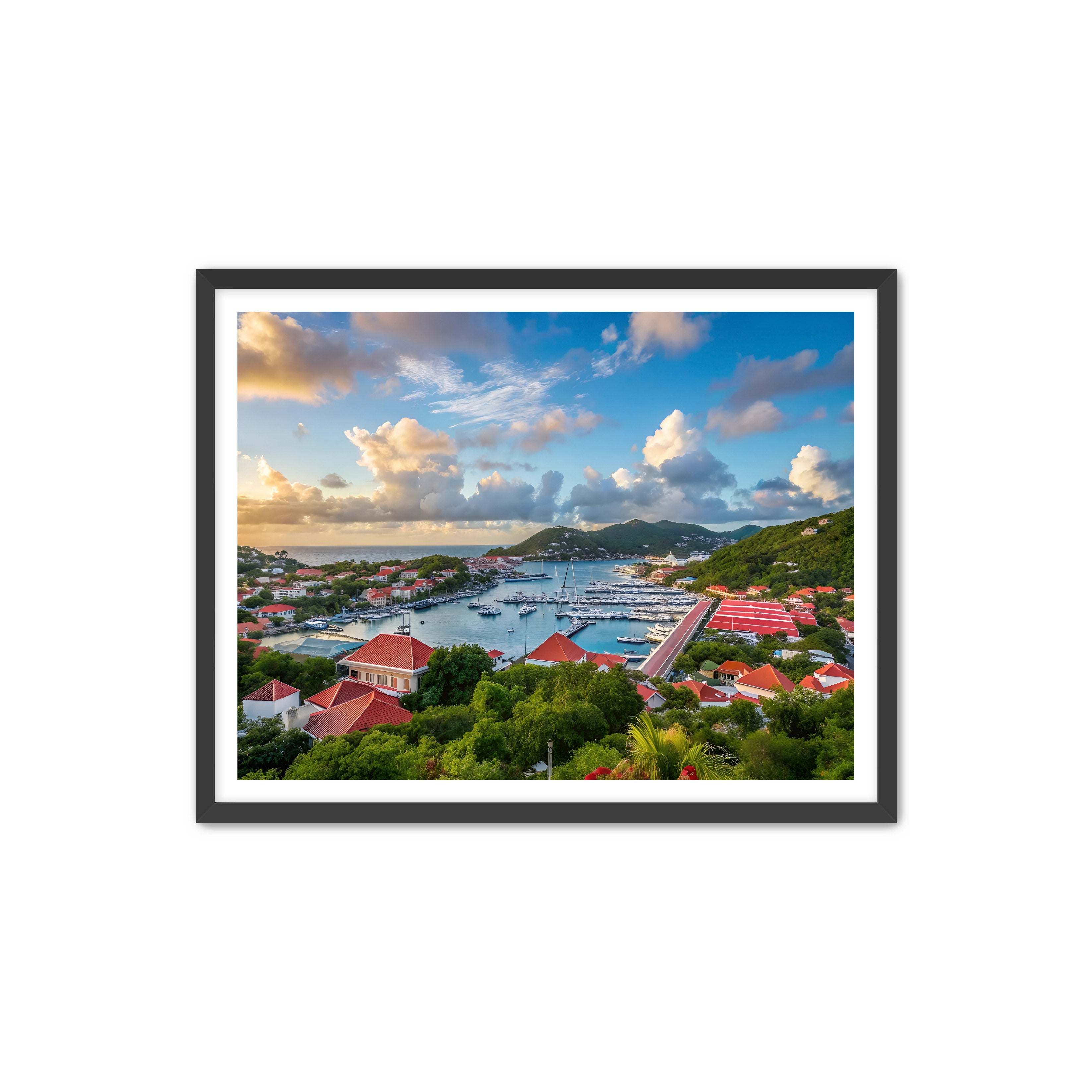 Apricus Prints 'GUSTAVIA' Apricus Art Collection