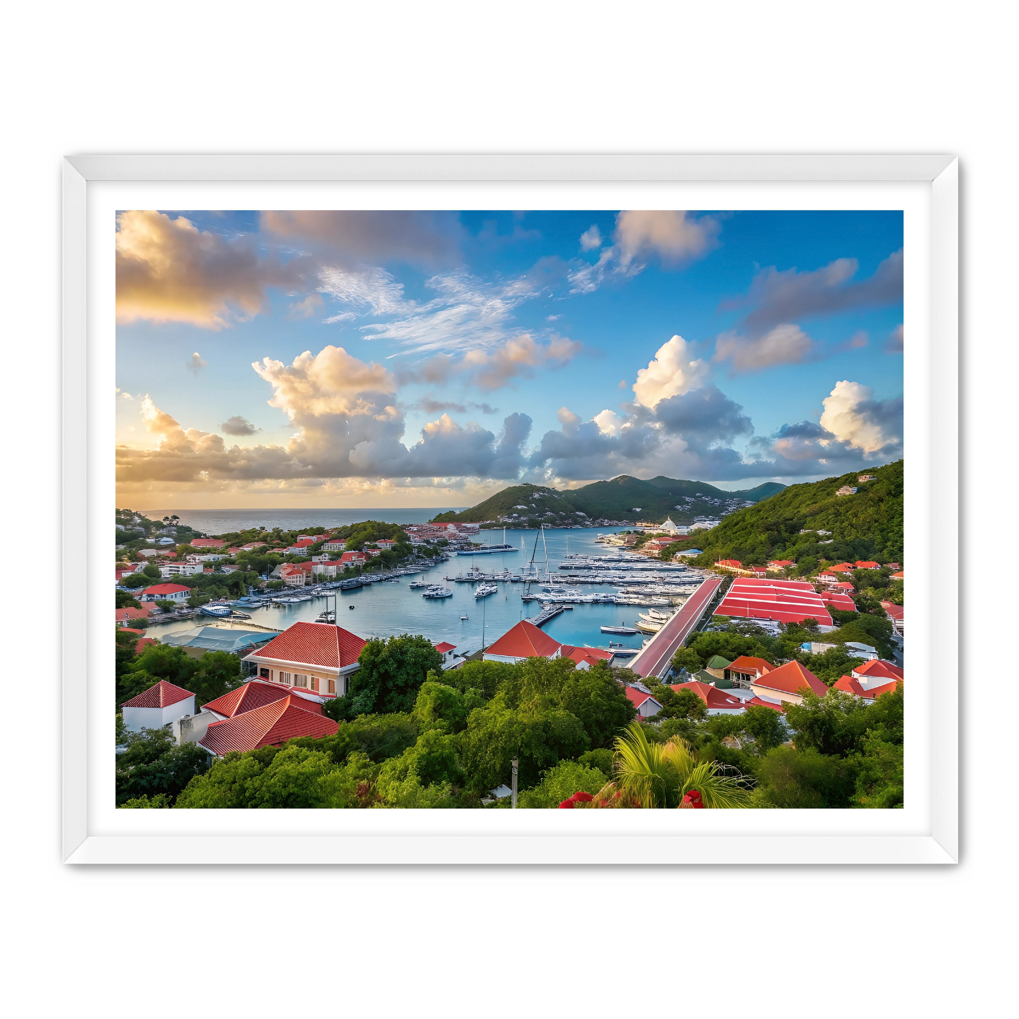 Apricus Prints 'GUSTAVIA' Apricus Art Collection