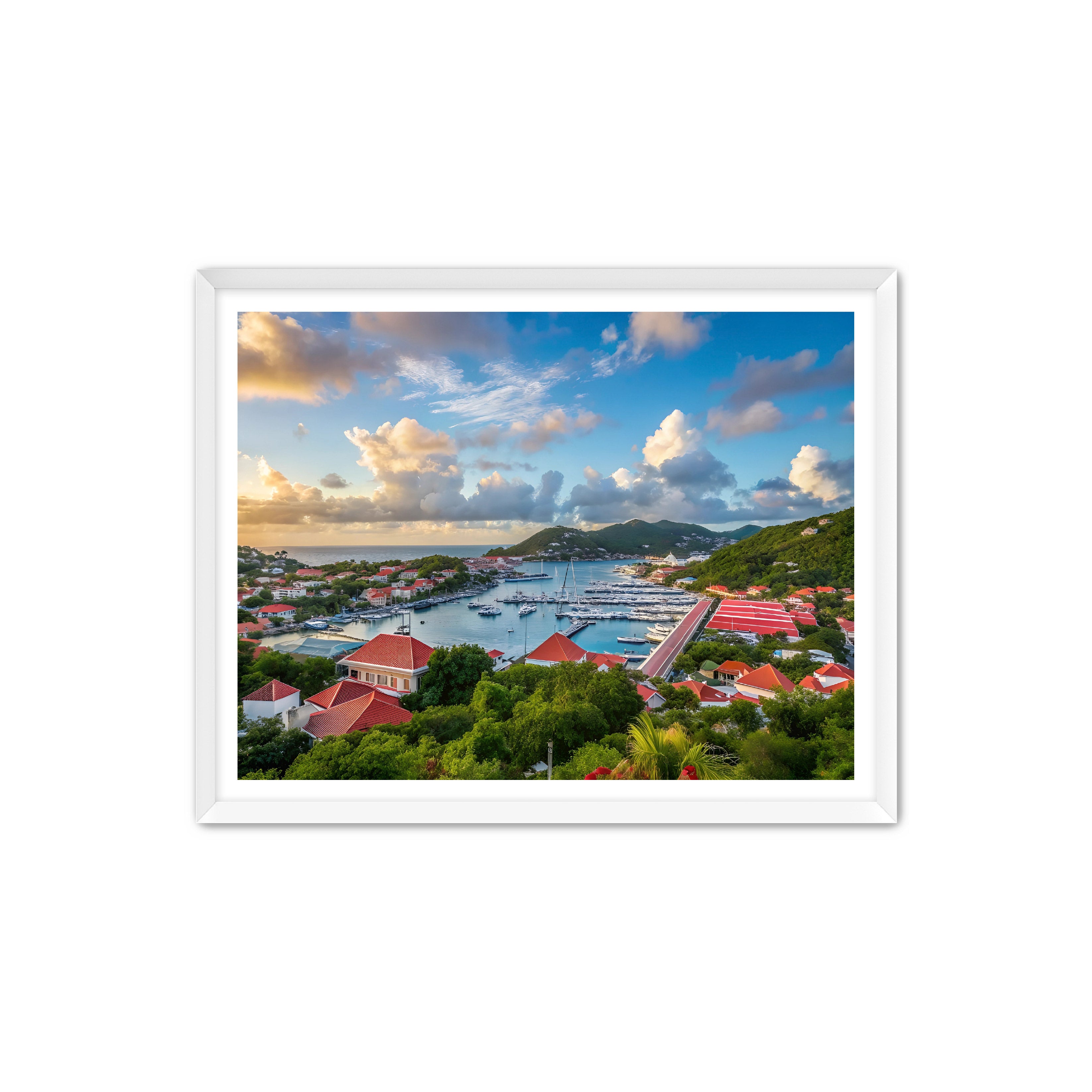 Apricus Prints 'GUSTAVIA' Apricus Art Collection