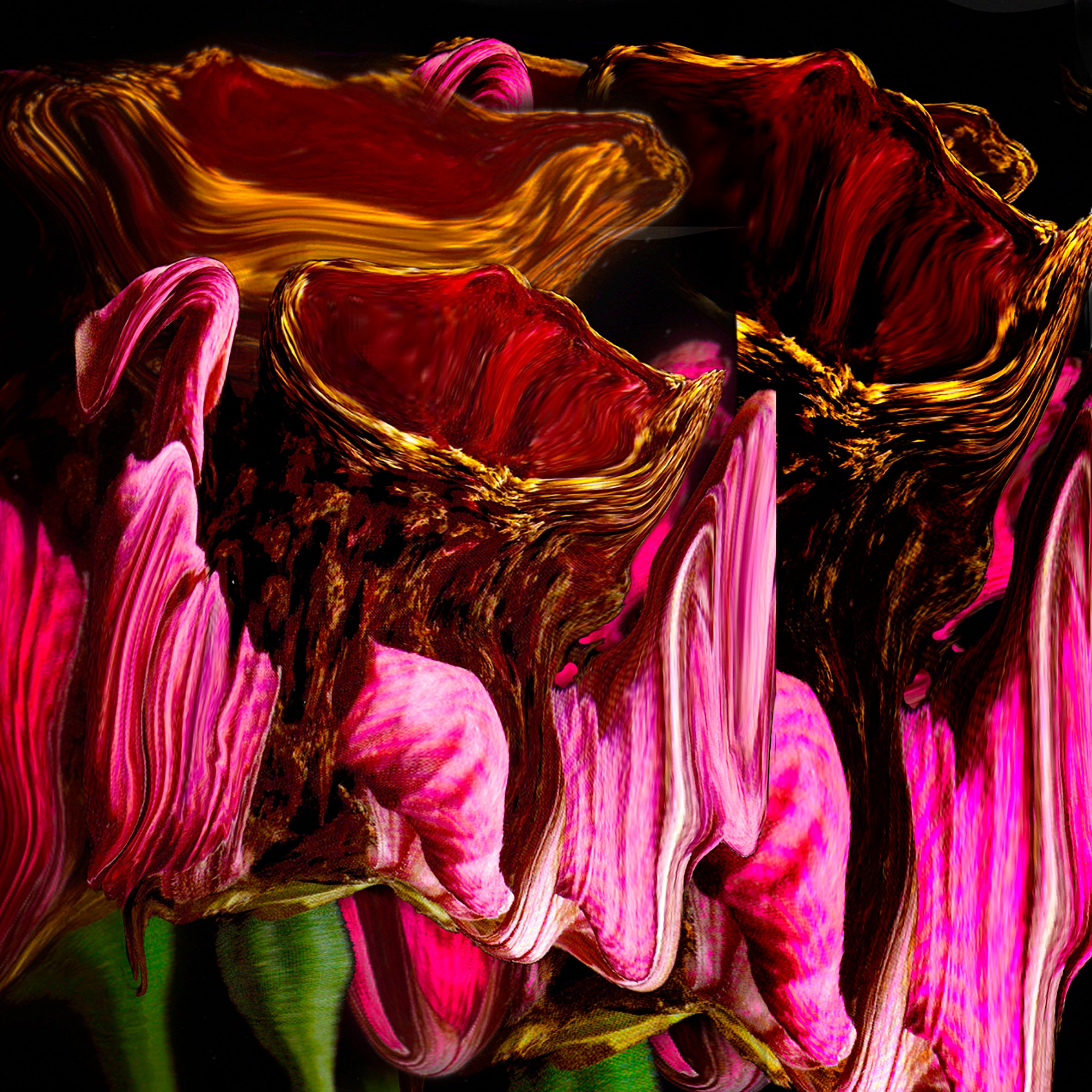 'GOLDEN CALIX FLOWER'