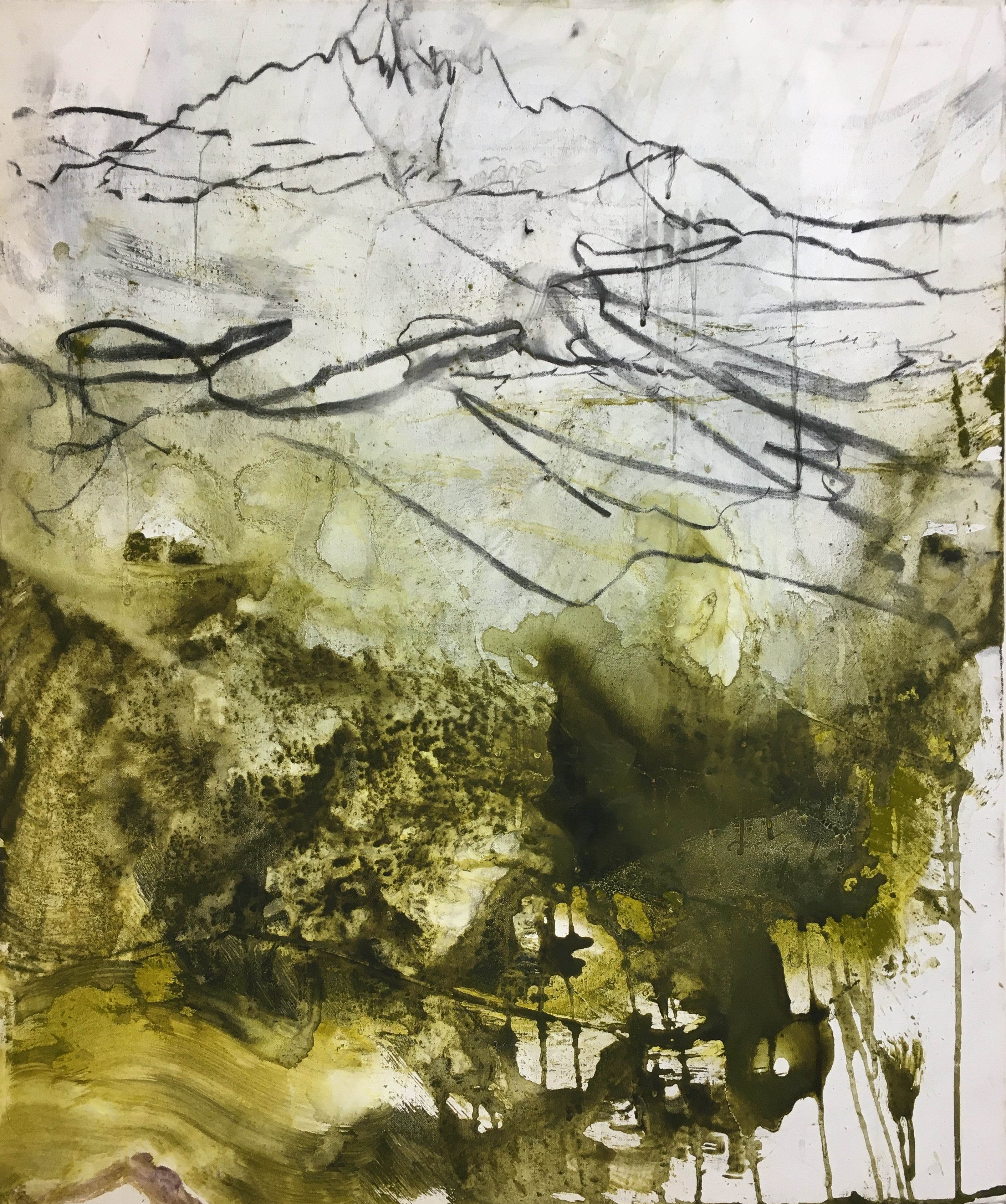 Acrylic 'UNDERLAND' - Acrylic, Ink, Charcoal, Dry Pigment Elizabeth Castagna