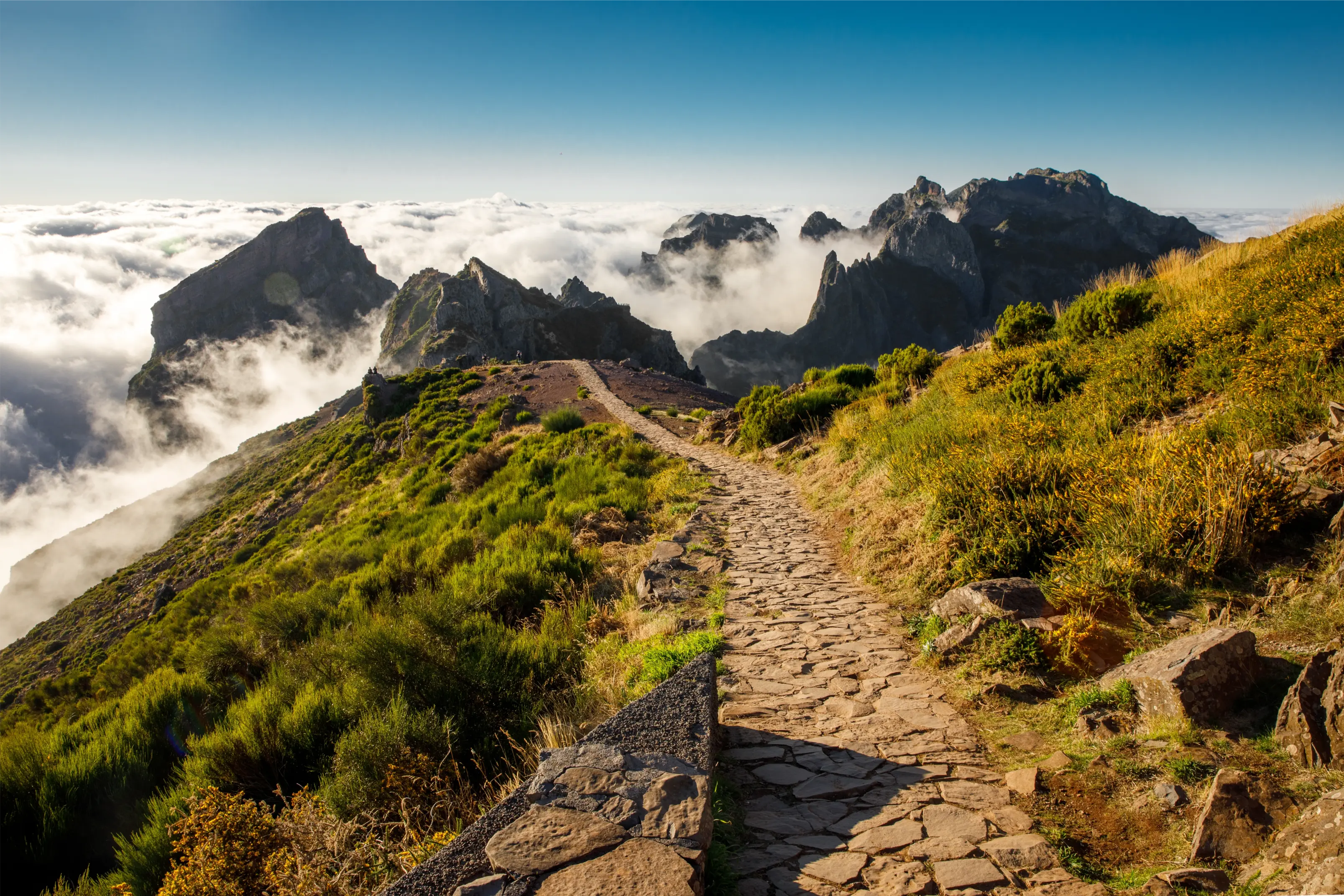 photography 'HEAD IN THE CLOUDS' Apricus Art Collection