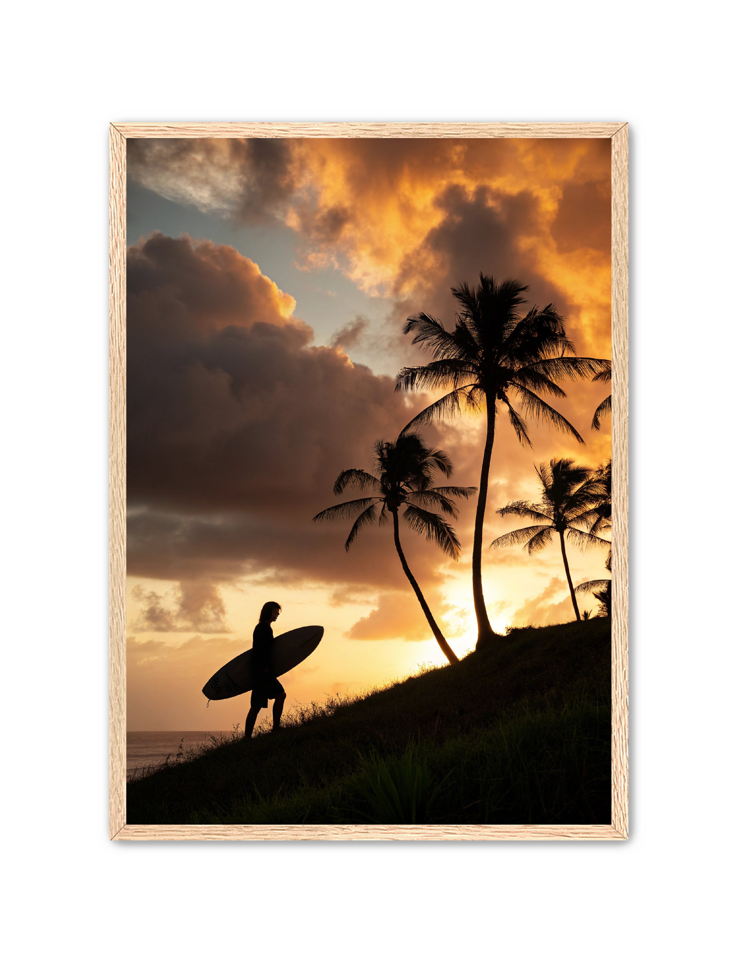 Apricus Prints Beaches 'Homeward Climb' Apricus Art Collection