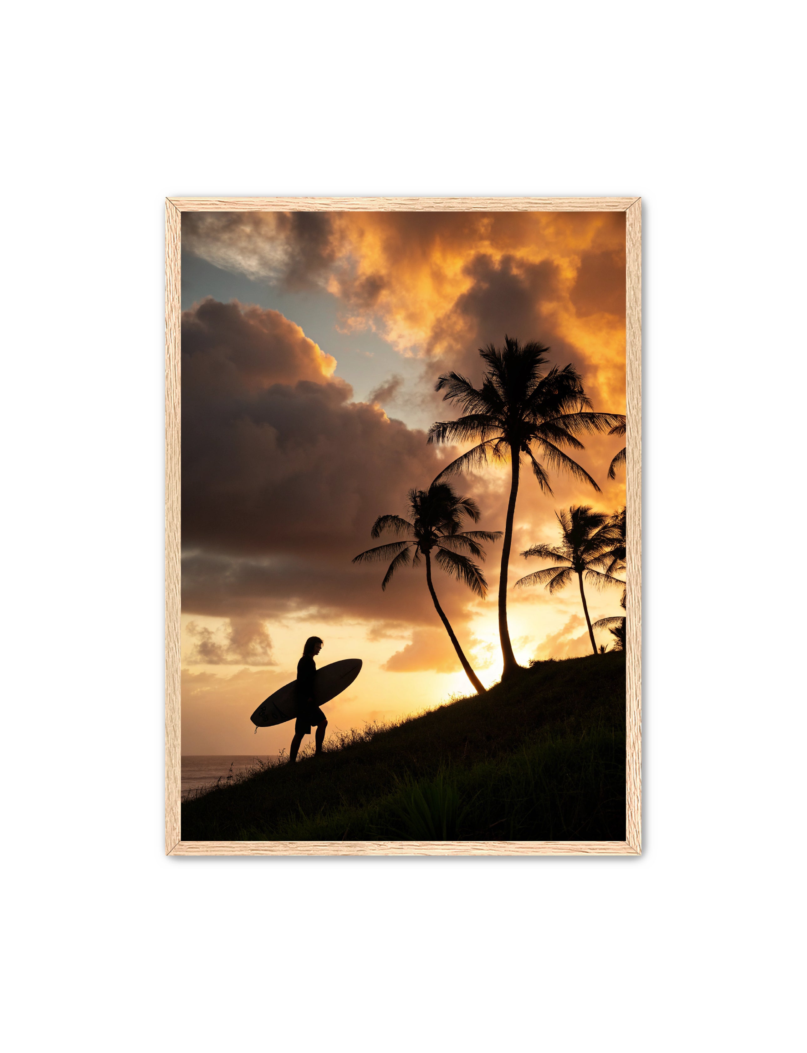 Apricus Prints Beaches 'Homeward Climb' Apricus Art Collection